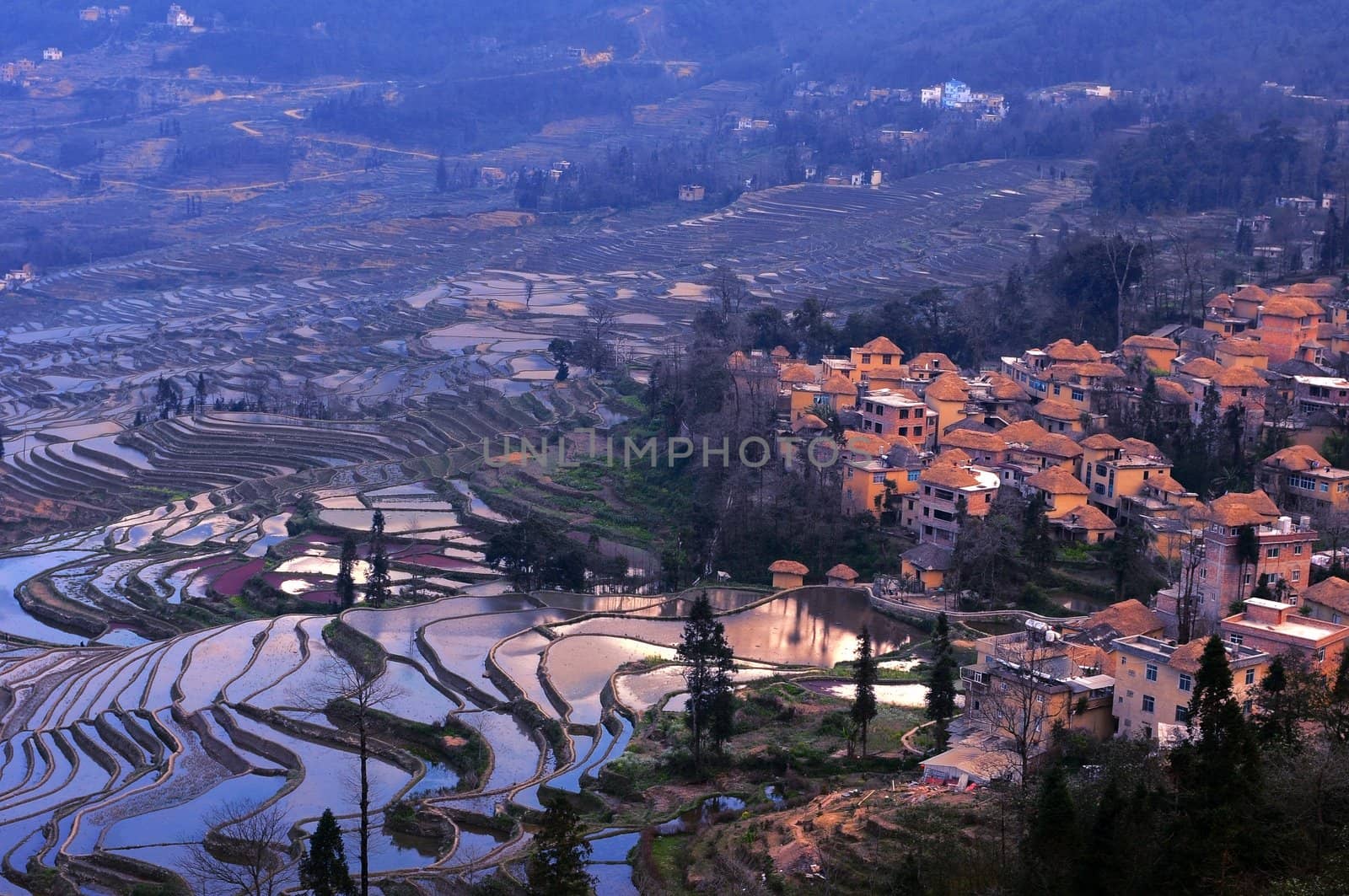 Famous Terraced rice Fields in Yunnan China