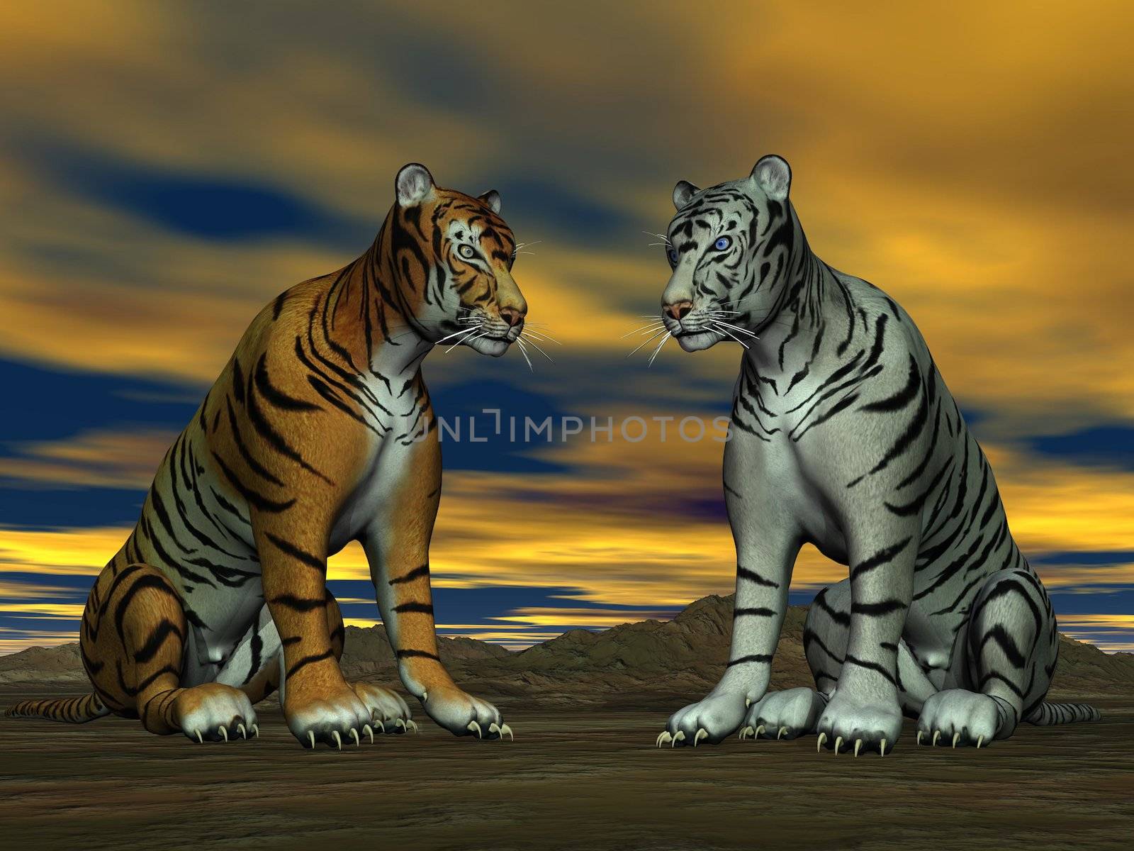 Two tigers, orange and white, sitting face to face in the desert with cloudy sky
