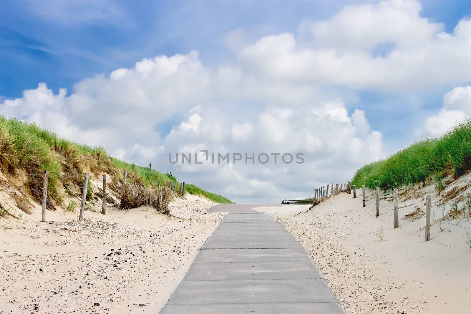 The road in dunes to the beach. Netherlands by NickNick