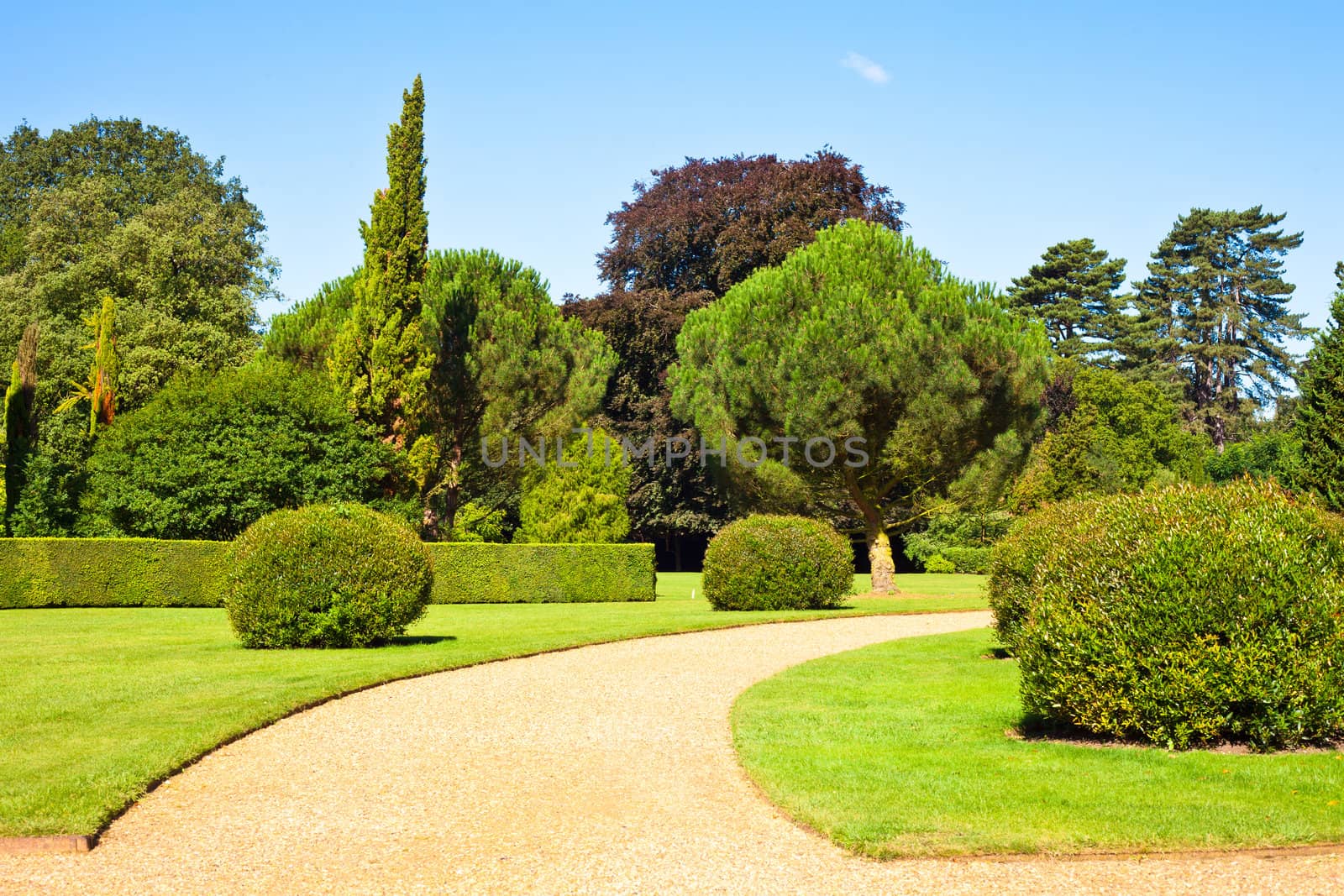 A neat path in an english summer garden on a summer day