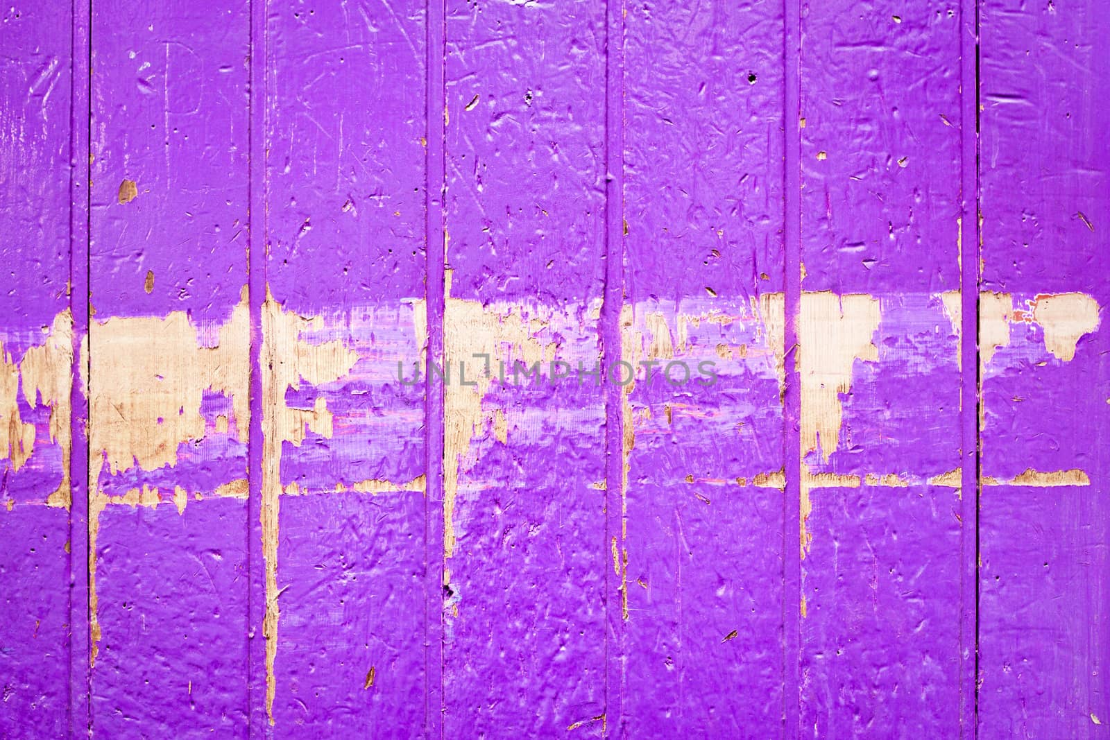 Purple painted wood as a colorful background image