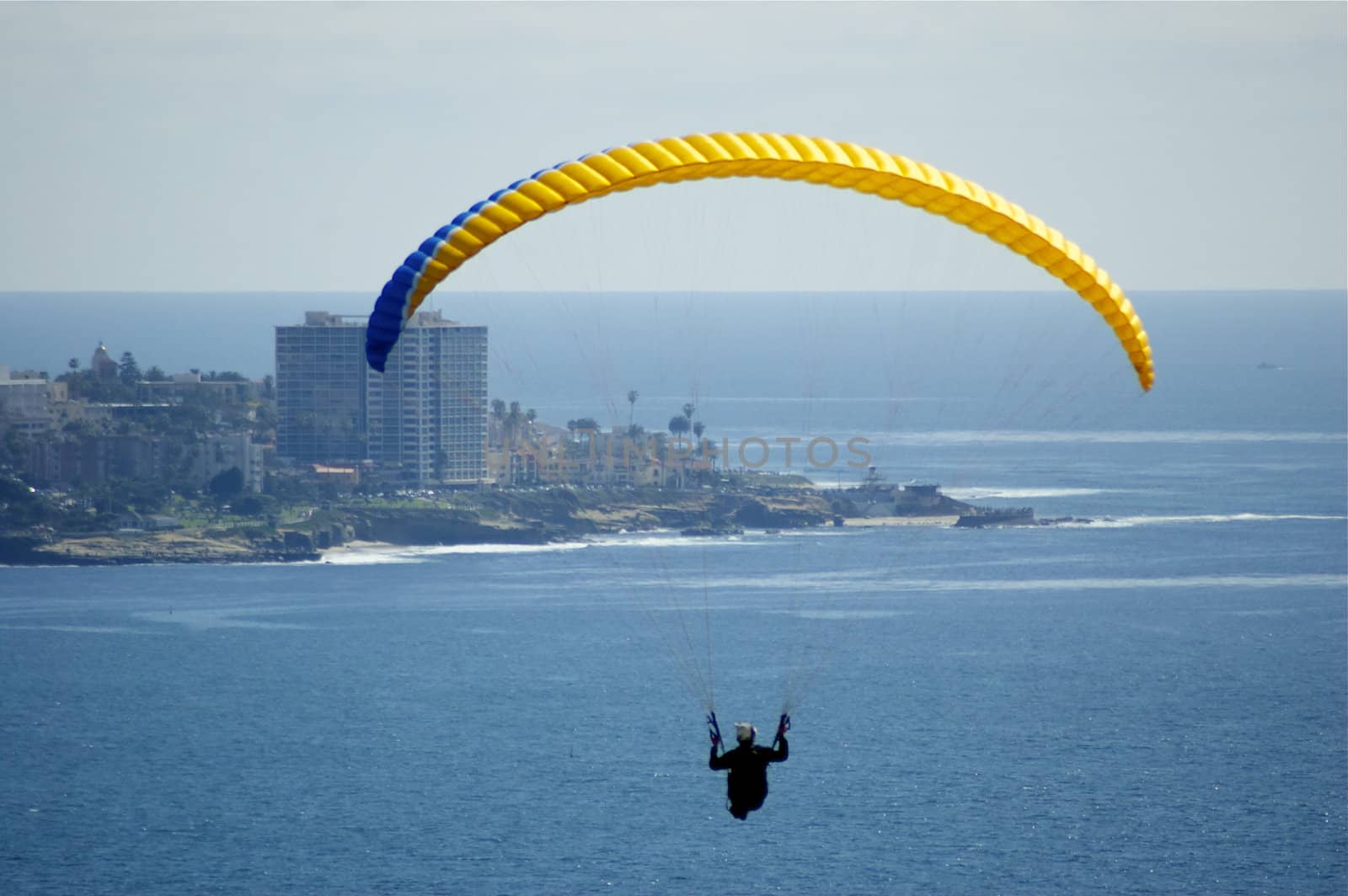 Hang-glider front and centre over ocean with metropolitan bay in background, against blue sky with copy space.