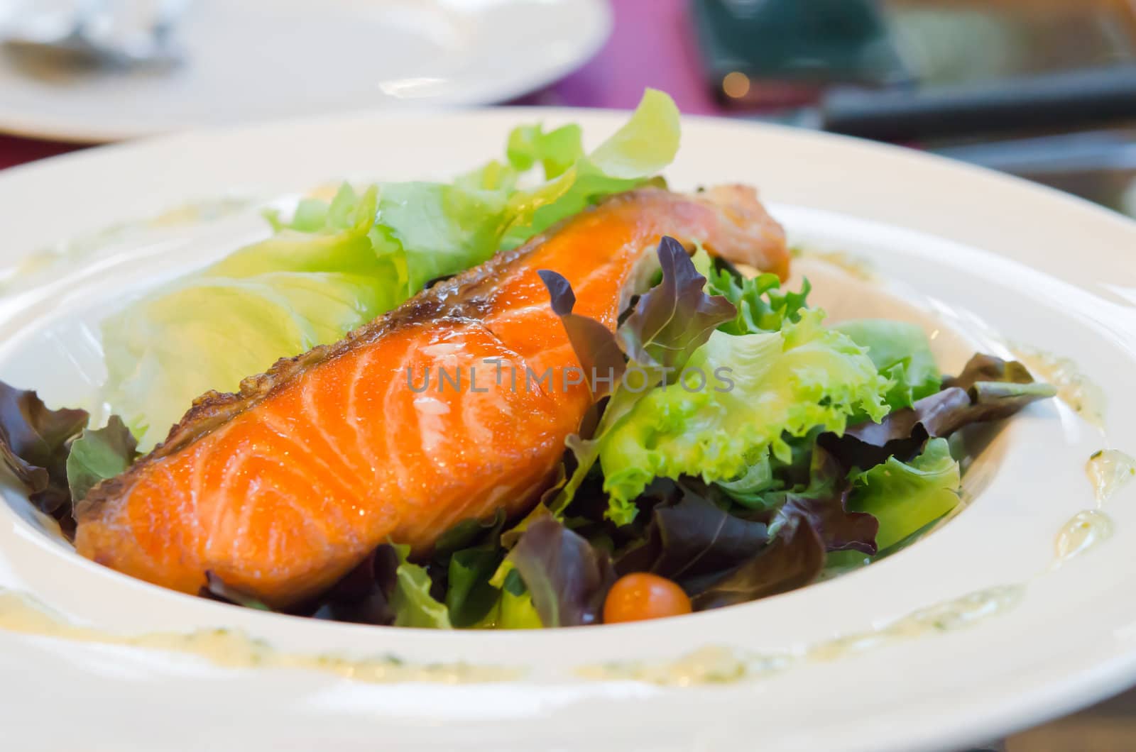 roasted  salmon and fresh vegetable salad on white dish