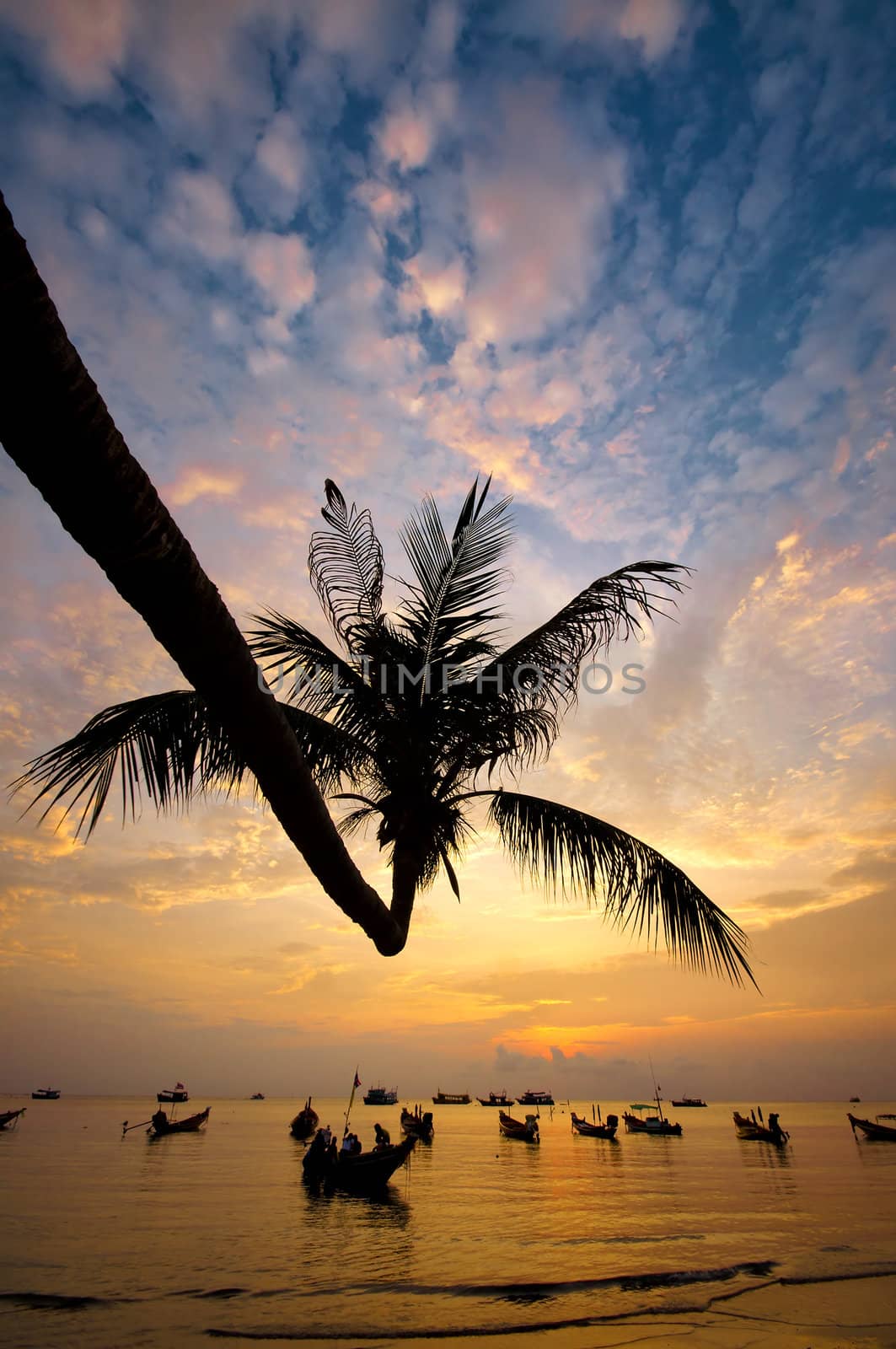 Sunset with palm and boats on tropical beach by johnnychaos