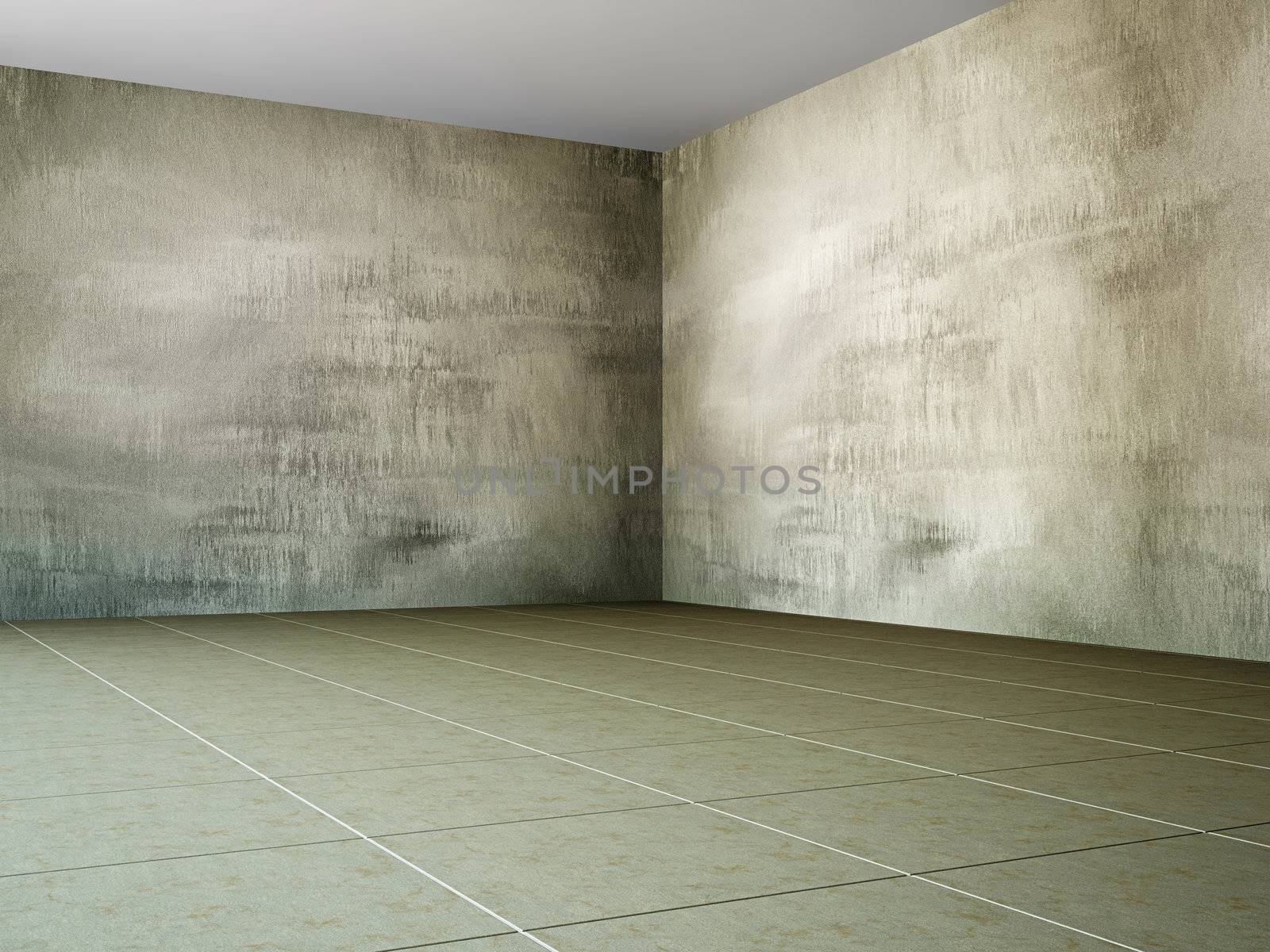 The large empty hall with old wall 