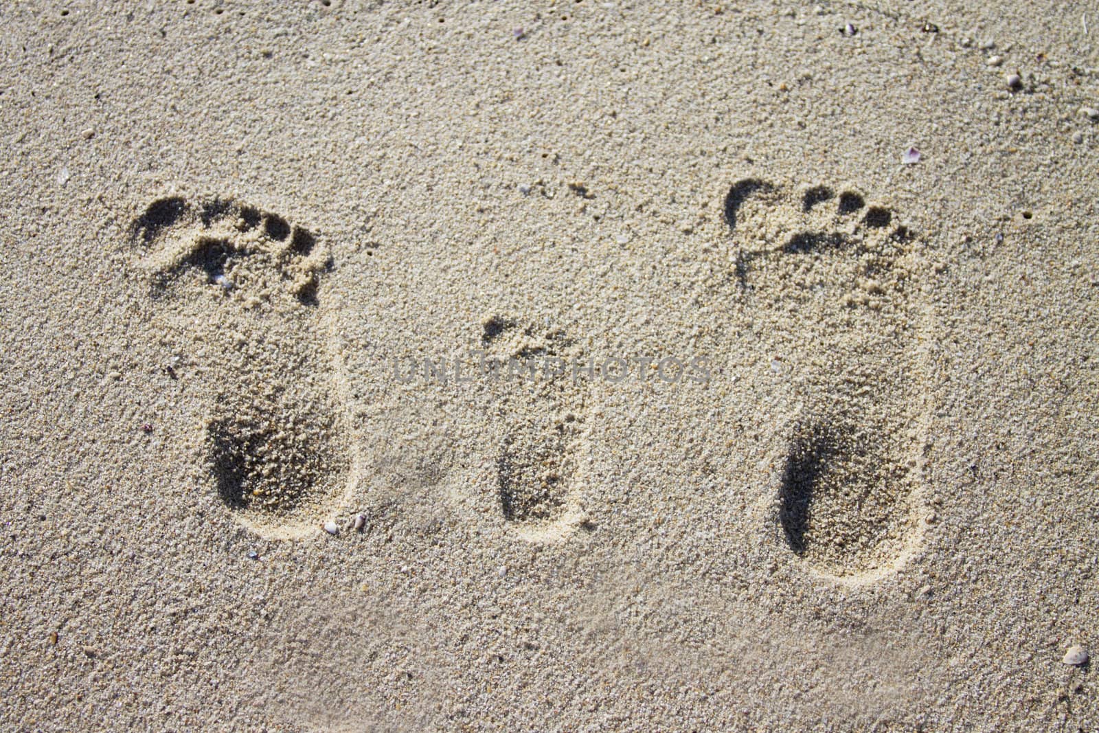 Three family footprints in sand on beach
