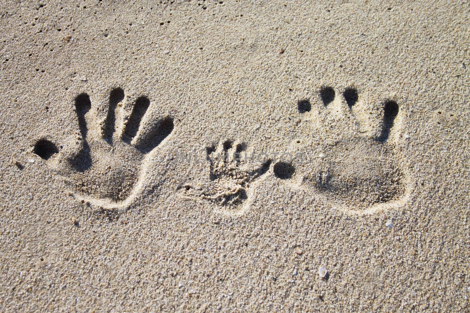 Three palm imprints of family on sand