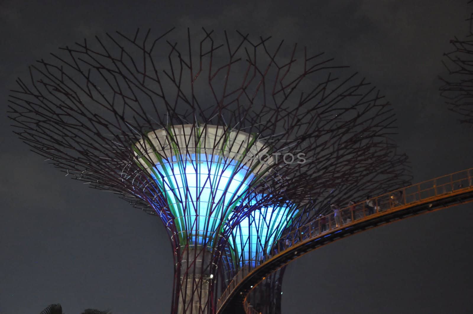 The Supertree Grove at Gardens by the Bay in Singapore by sainaniritu