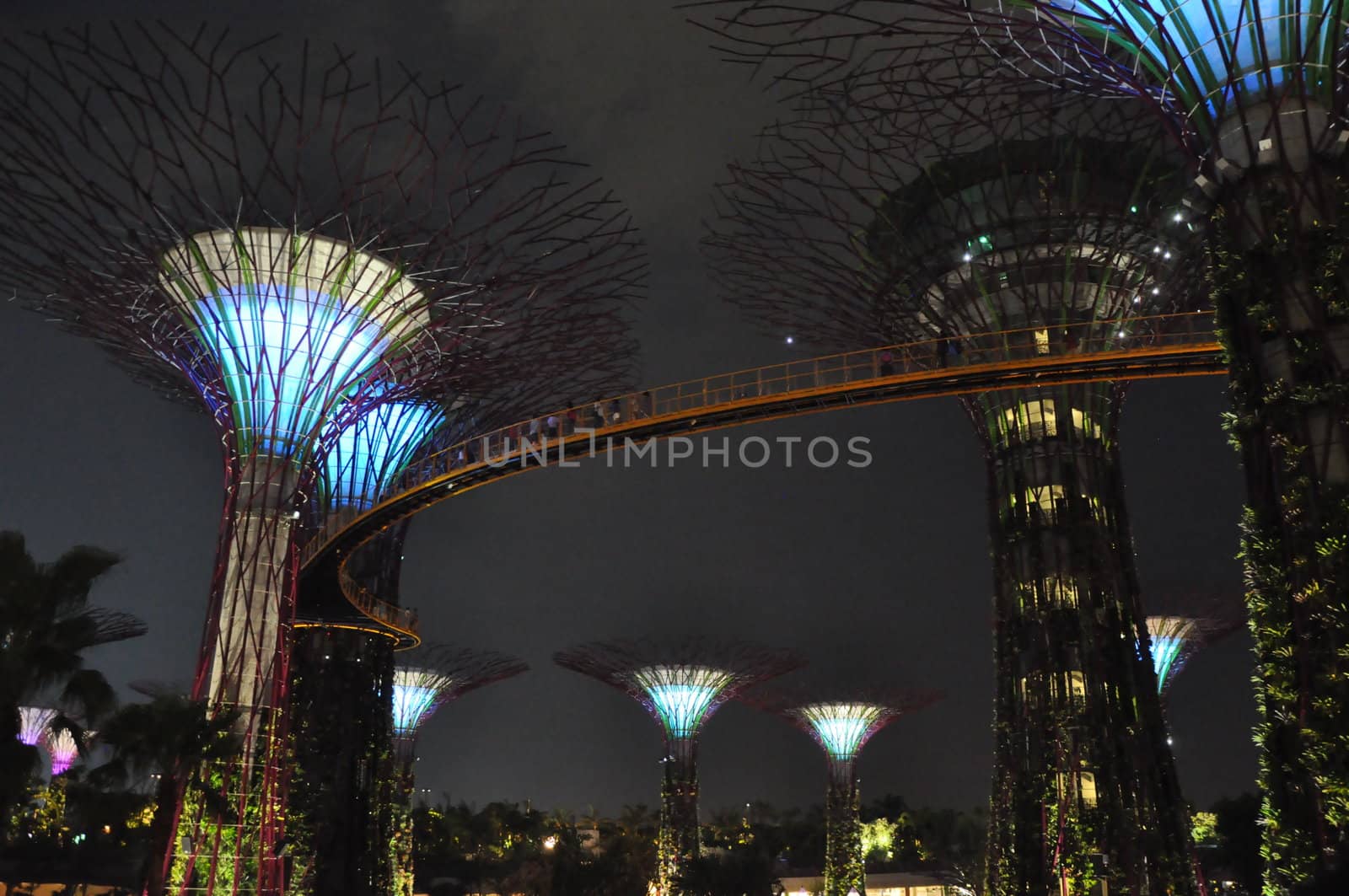 The Supertree Grove at Gardens by the Bay in Singapore (Asia)