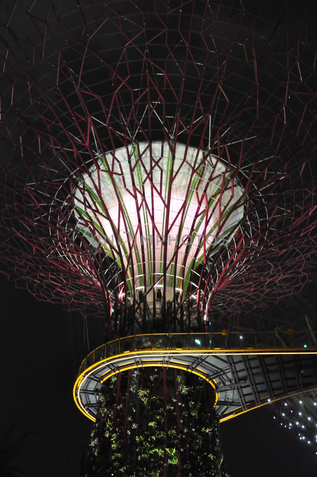 The Supertree Grove at Gardens by the Bay in Singapore by sainaniritu