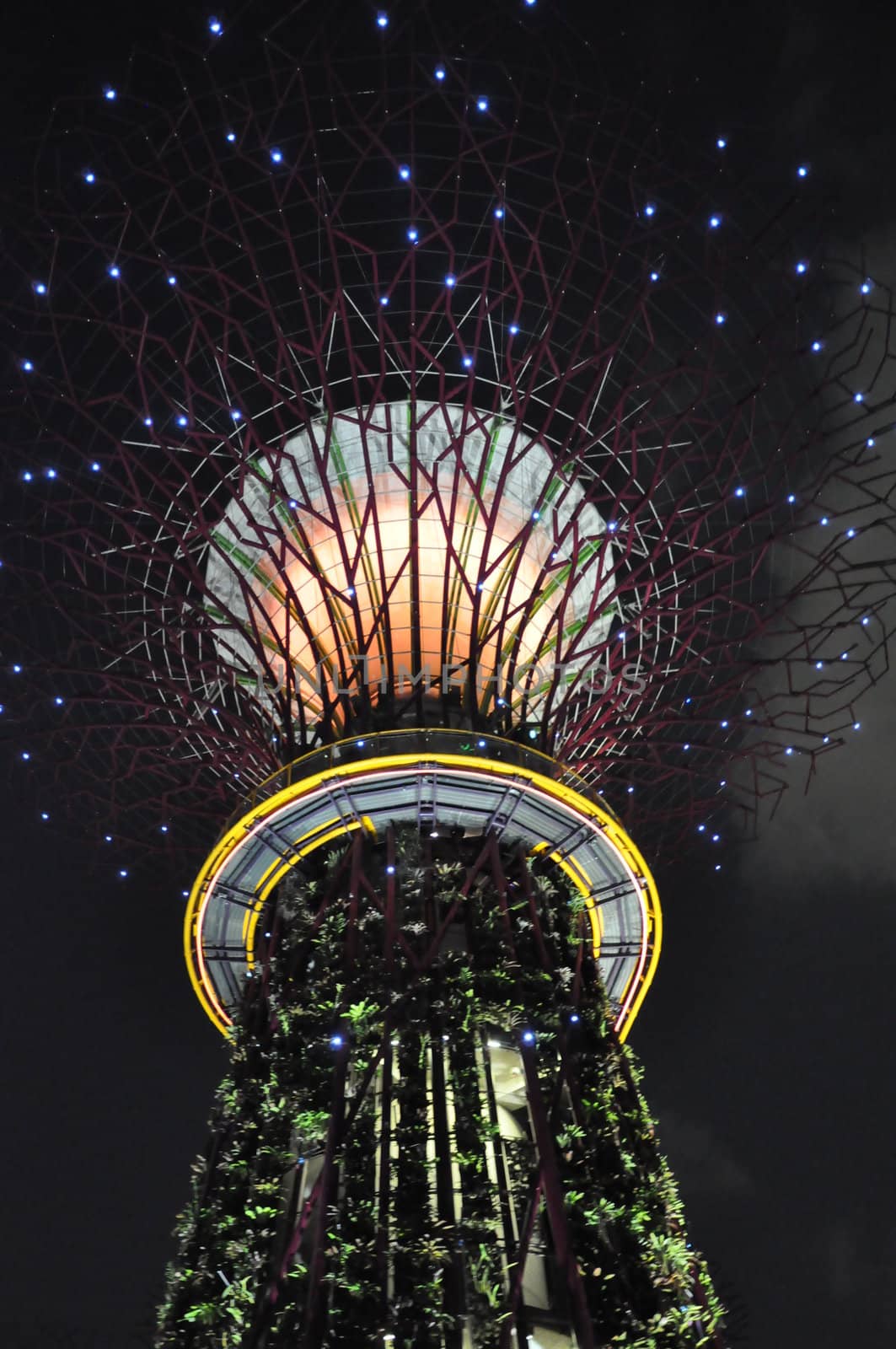 The Supertree Grove at Gardens by the Bay in Singapore by sainaniritu
