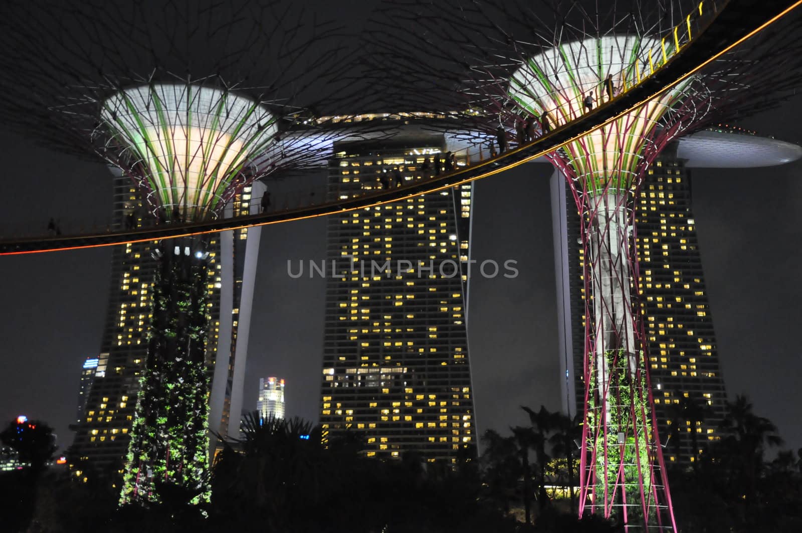 The Supertree Grove at Gardens by the Bay in Singapore by sainaniritu