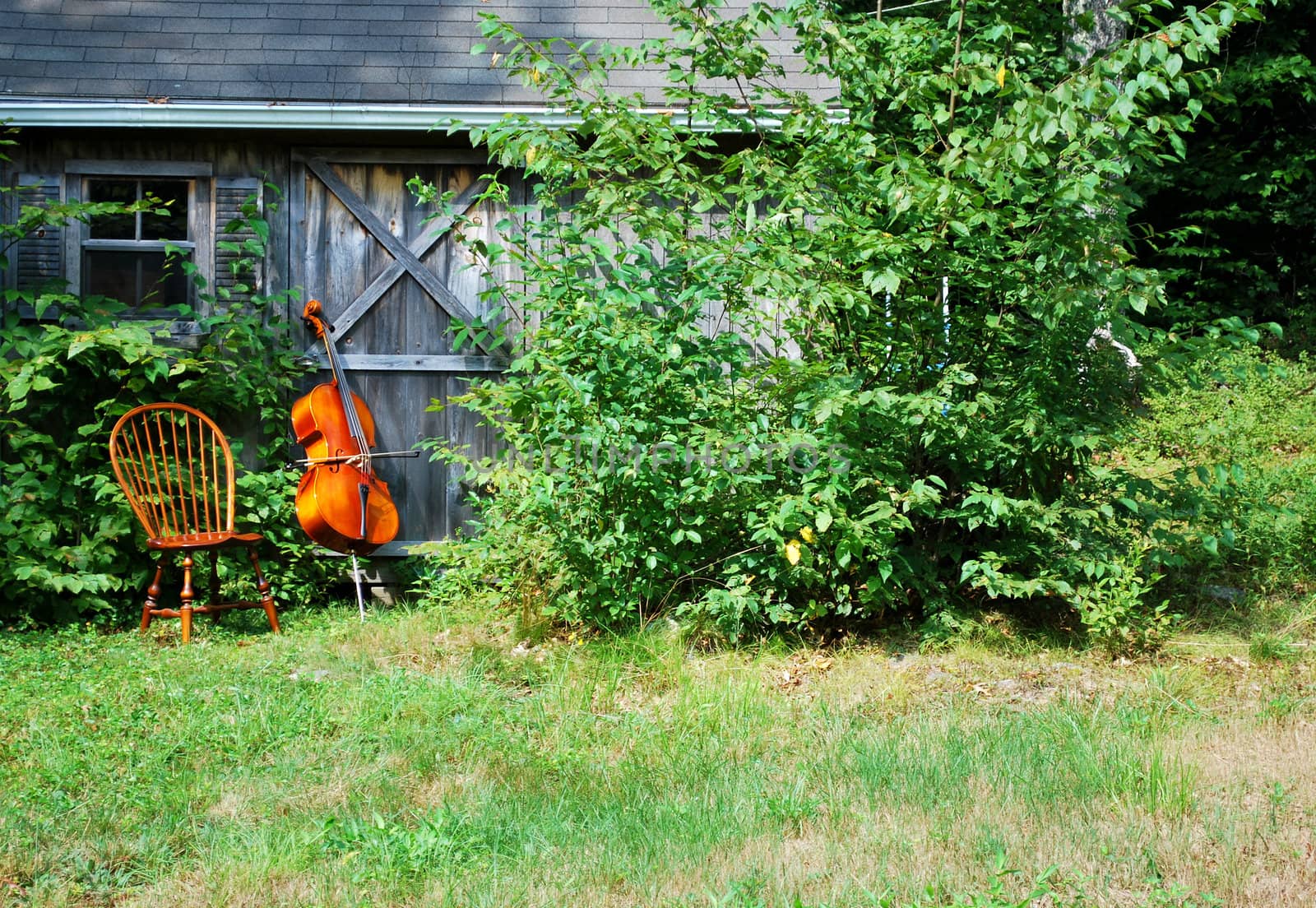 Cello standing against a practice room shed.