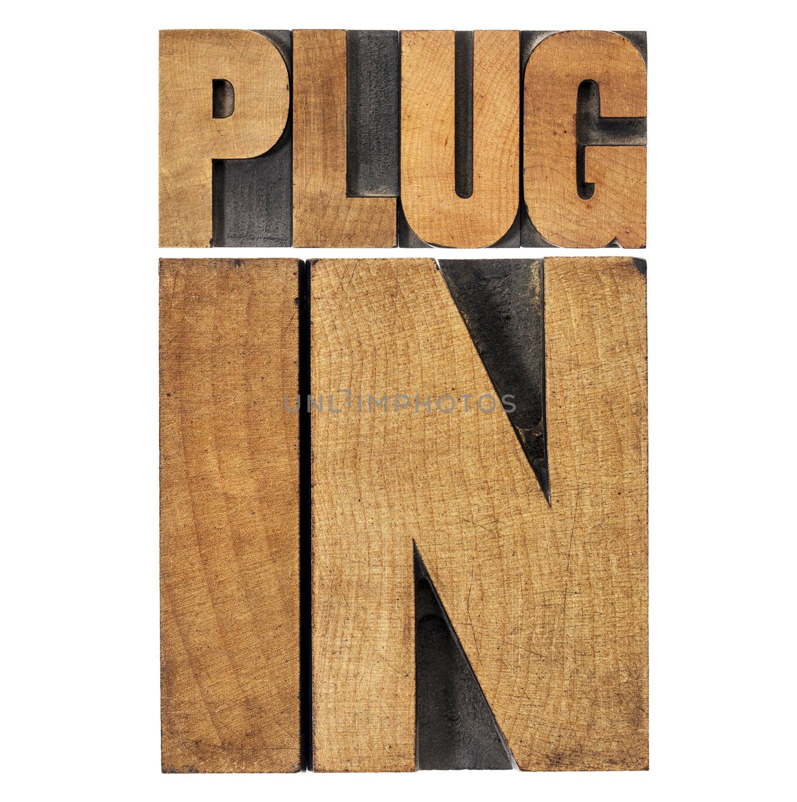 plugin (plug-in)  - computer software component or application - isolated text in vintage letterpress wood type printing blocks