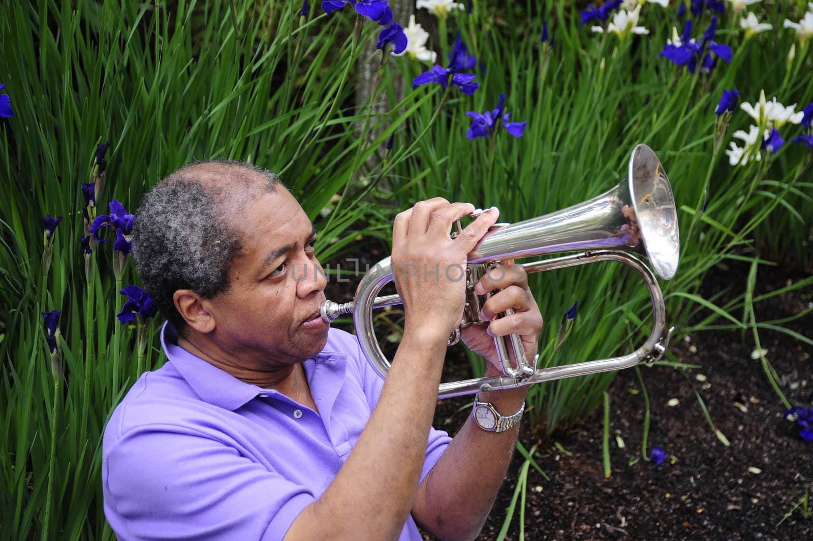 African American man with his flugelhorn.