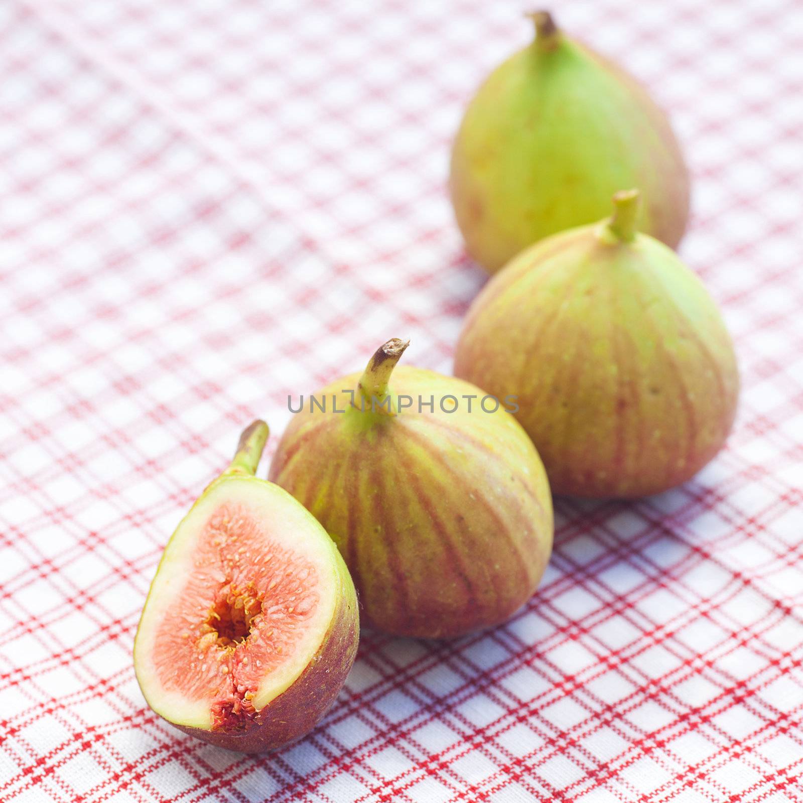 figs lying on plaid fabric by jannyjus