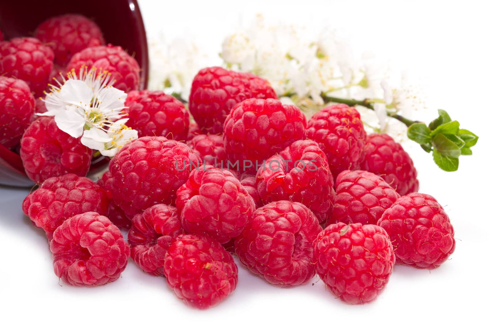 fresh raspberries scattered on white background 