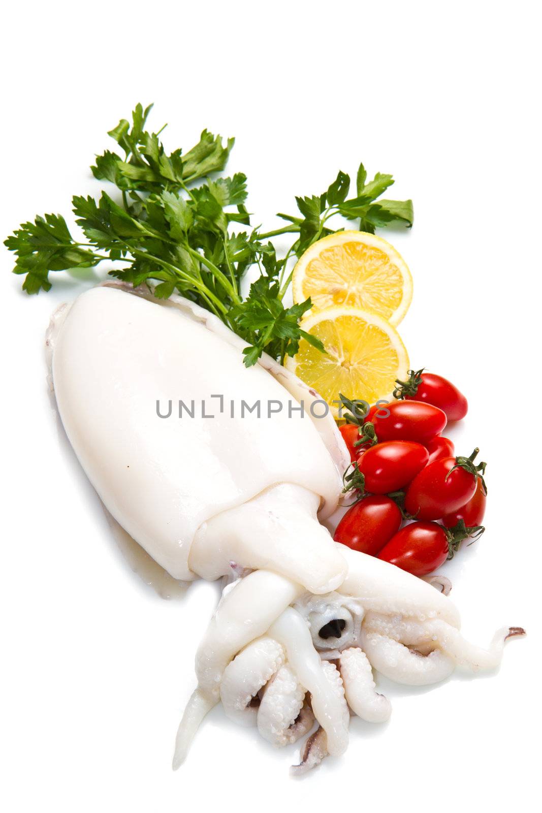 fresh cuttlefish  with parsley,tomatoes  and lemon isolated on white