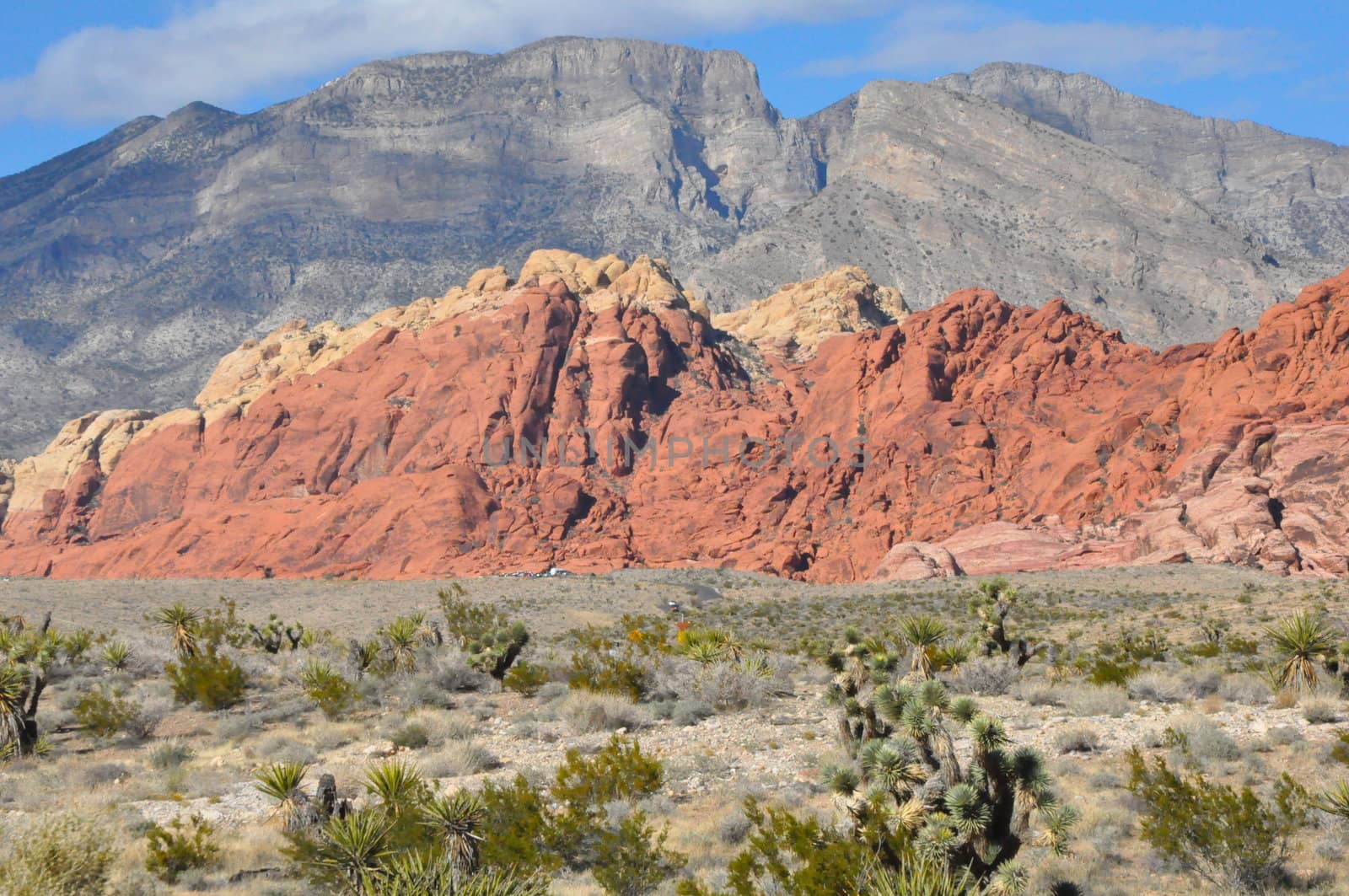 Red Rock Canyon in Las Vegas, Nevada