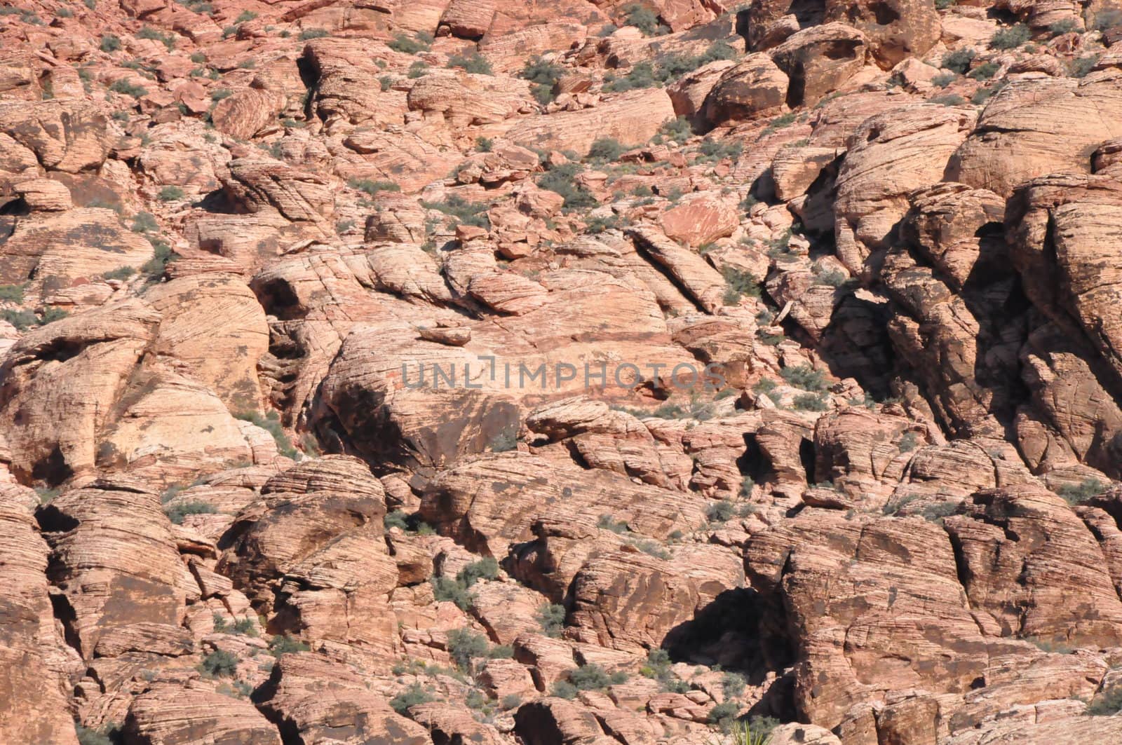 Red Rock Canyon in Nevada by sainaniritu