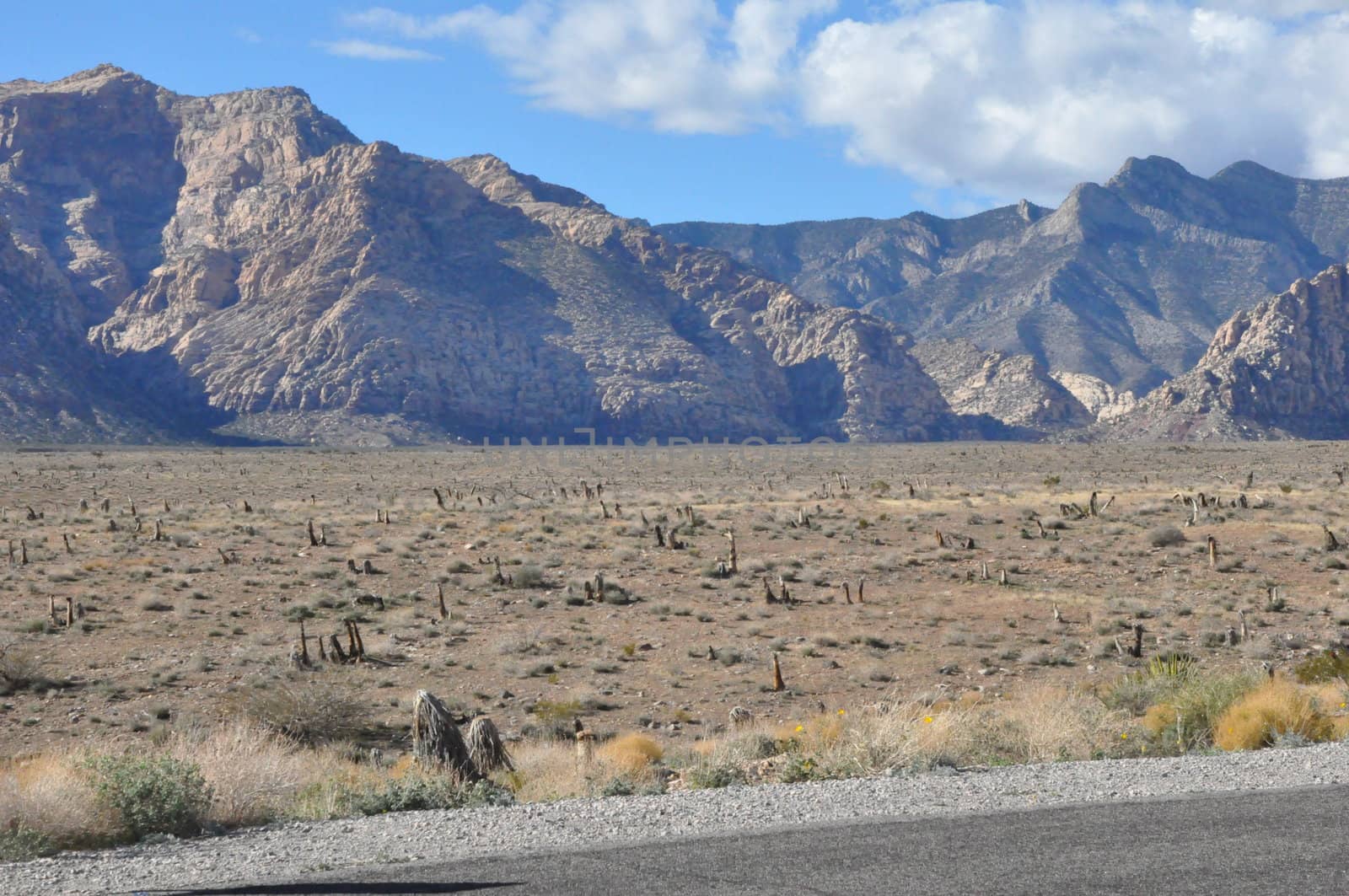 Red Rock Canyon in Las Vegas, Nevada