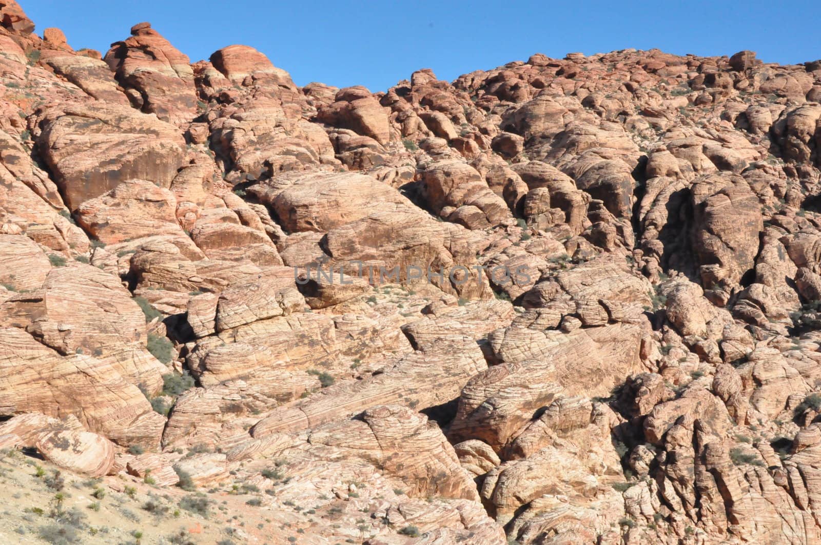 Red Rock Canyon in Nevada by sainaniritu