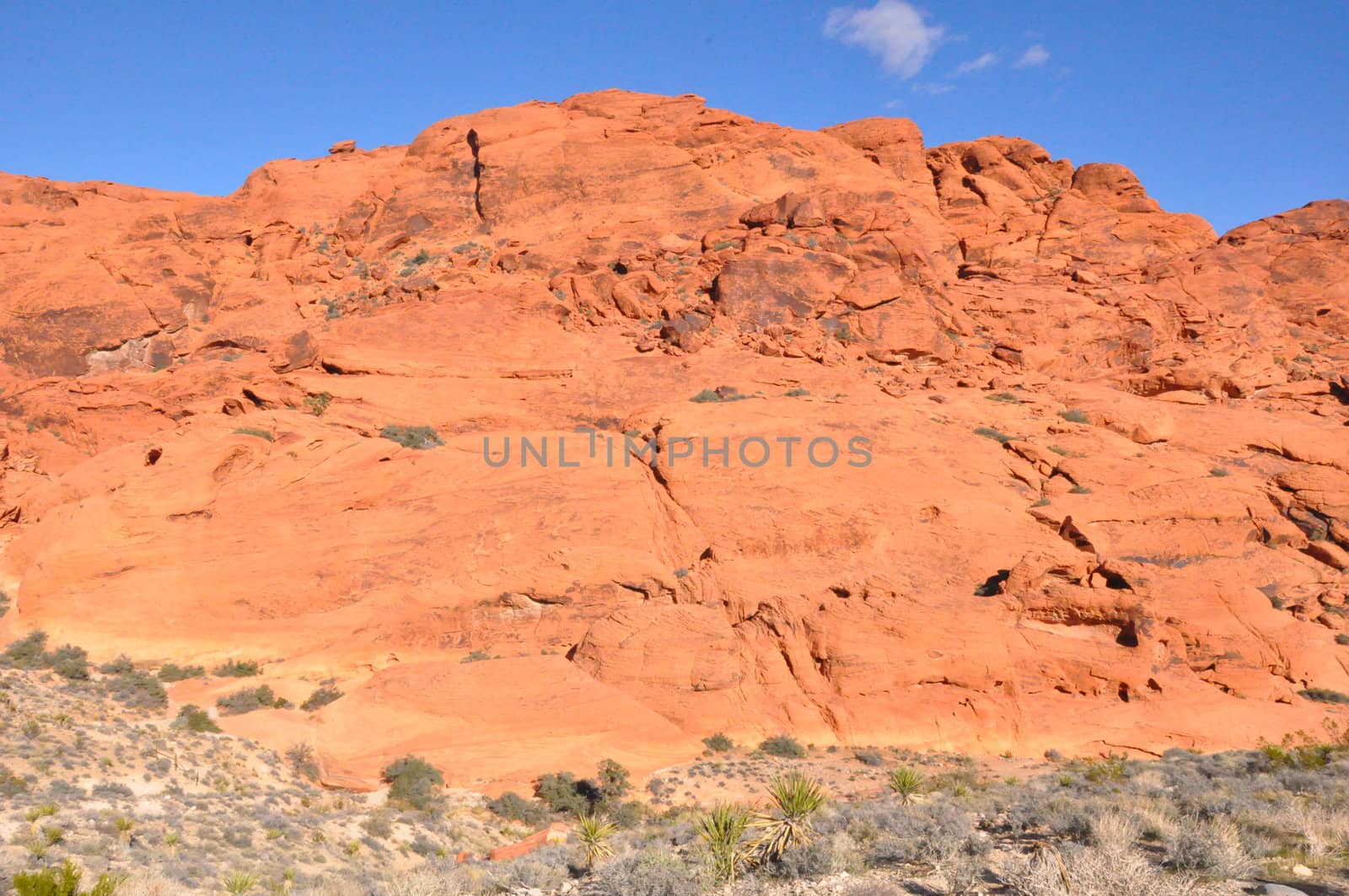 Red Rock Canyon in Nevada by sainaniritu