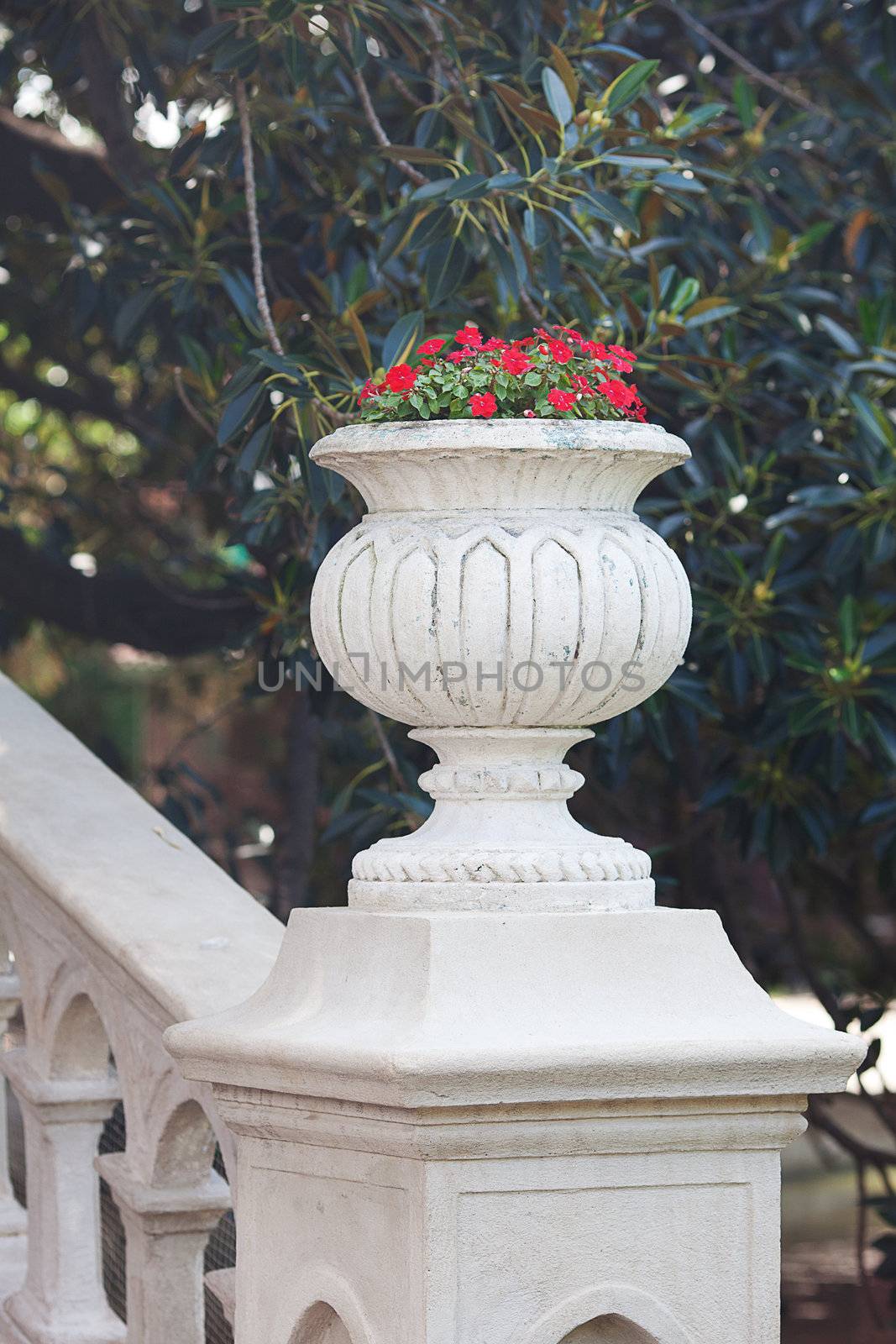 beautiful vase with red flowers on the bridge by jannyjus