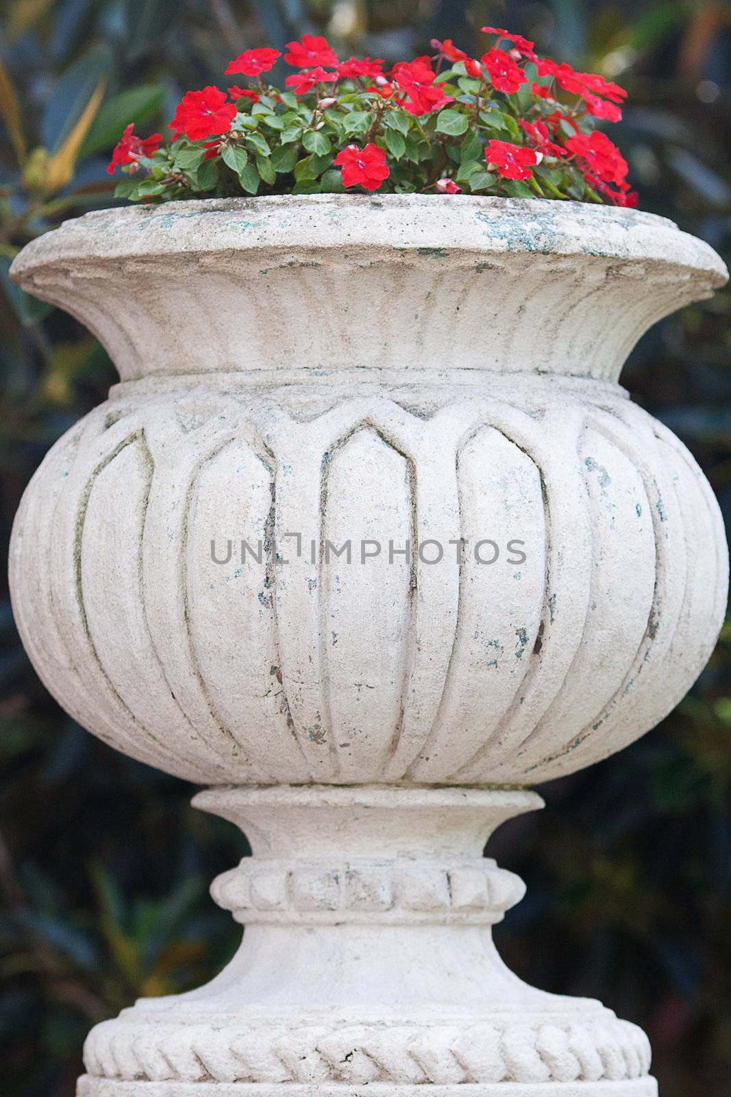 beautiful vase with red flowers on the bridge