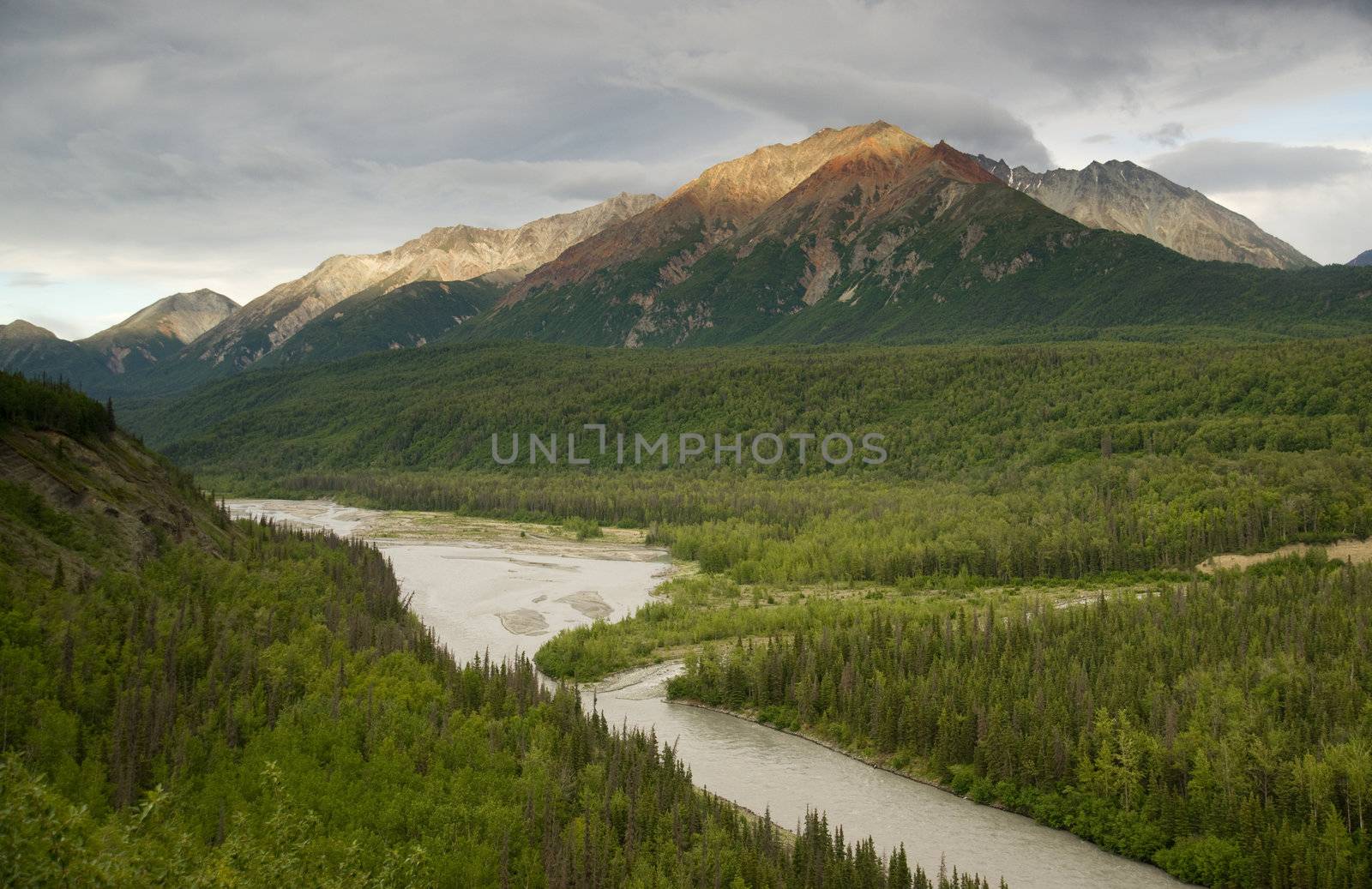 The Matanuska River cuts Through Woods at Chugach Mountains Base in Alaska
