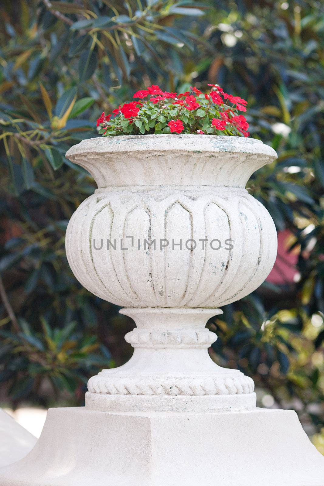 beautiful vase with red flowers on the bridge