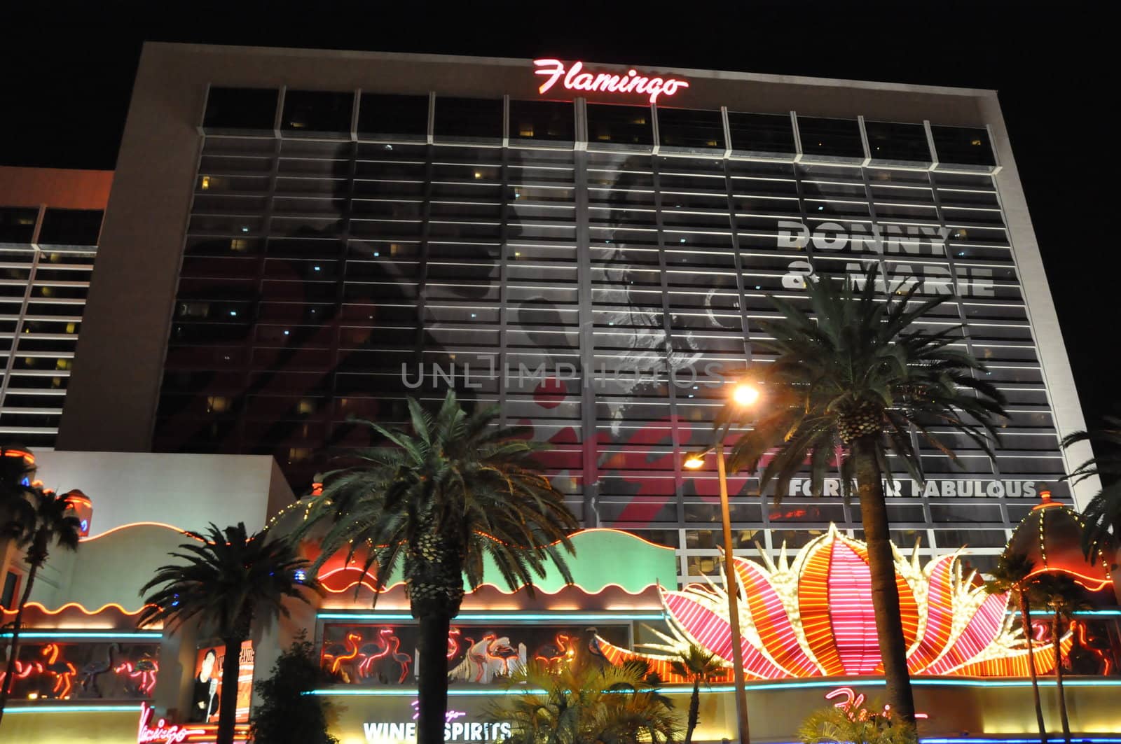 Flamingo Hotel and Casino in Las Vegas by sainaniritu