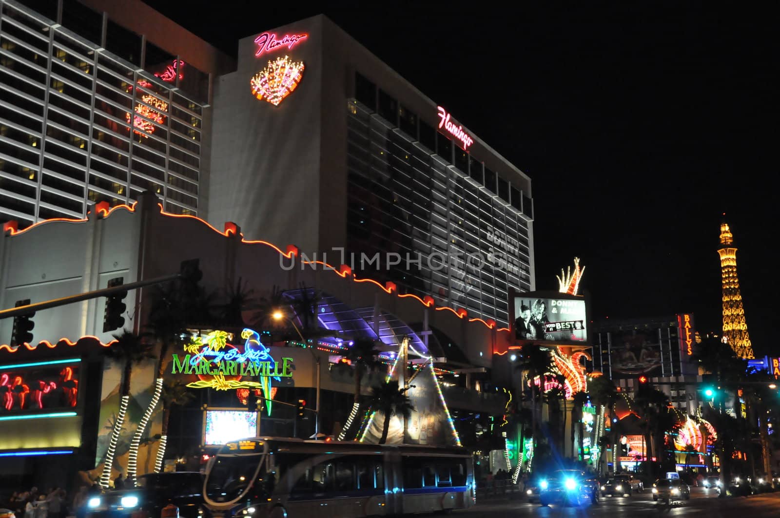 Flamingo Hotel and Casino in Las Vegas by sainaniritu