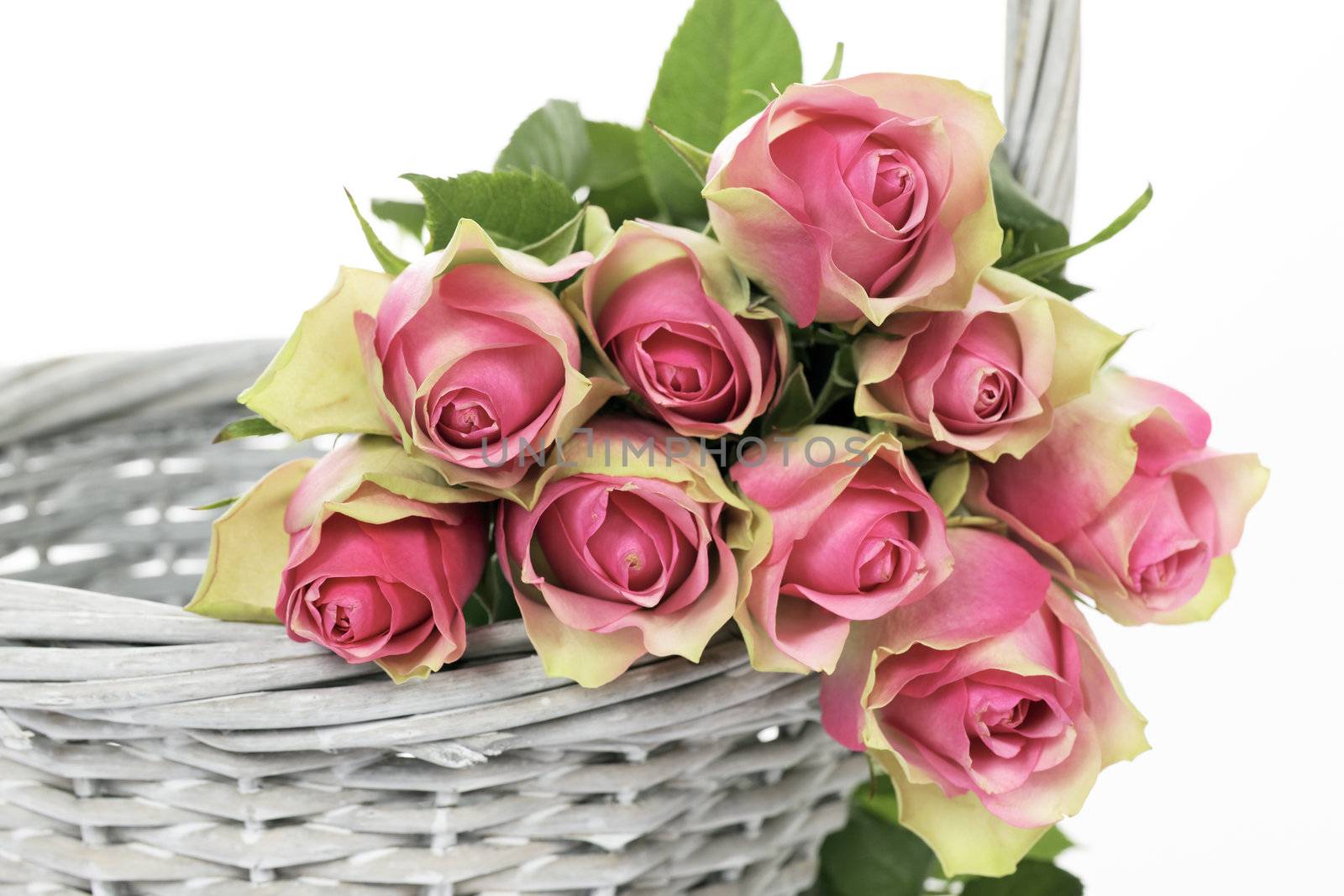 crop of roses in a Basket on white background