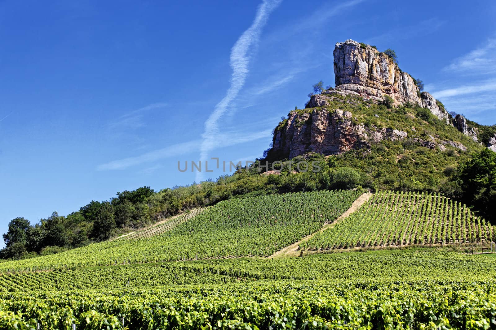 famous Solutre Rock with vineyards, Burgundy, France 