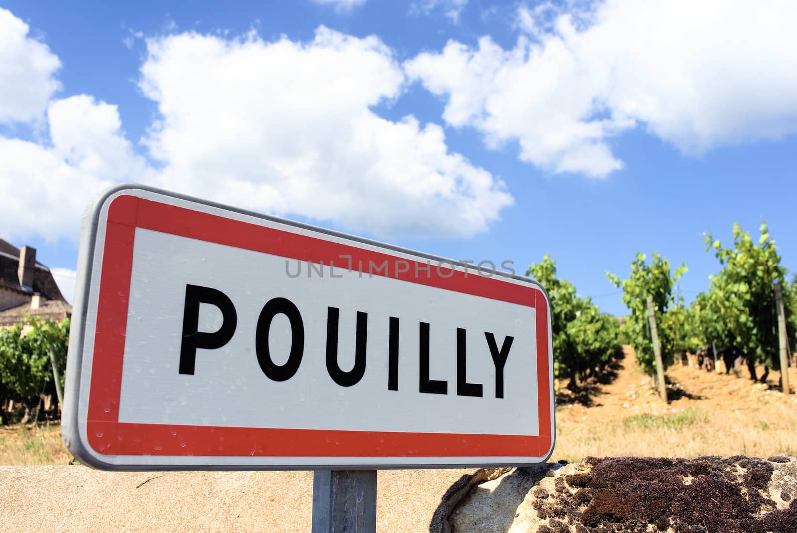 Pouilly, famous french village with wine agriculture