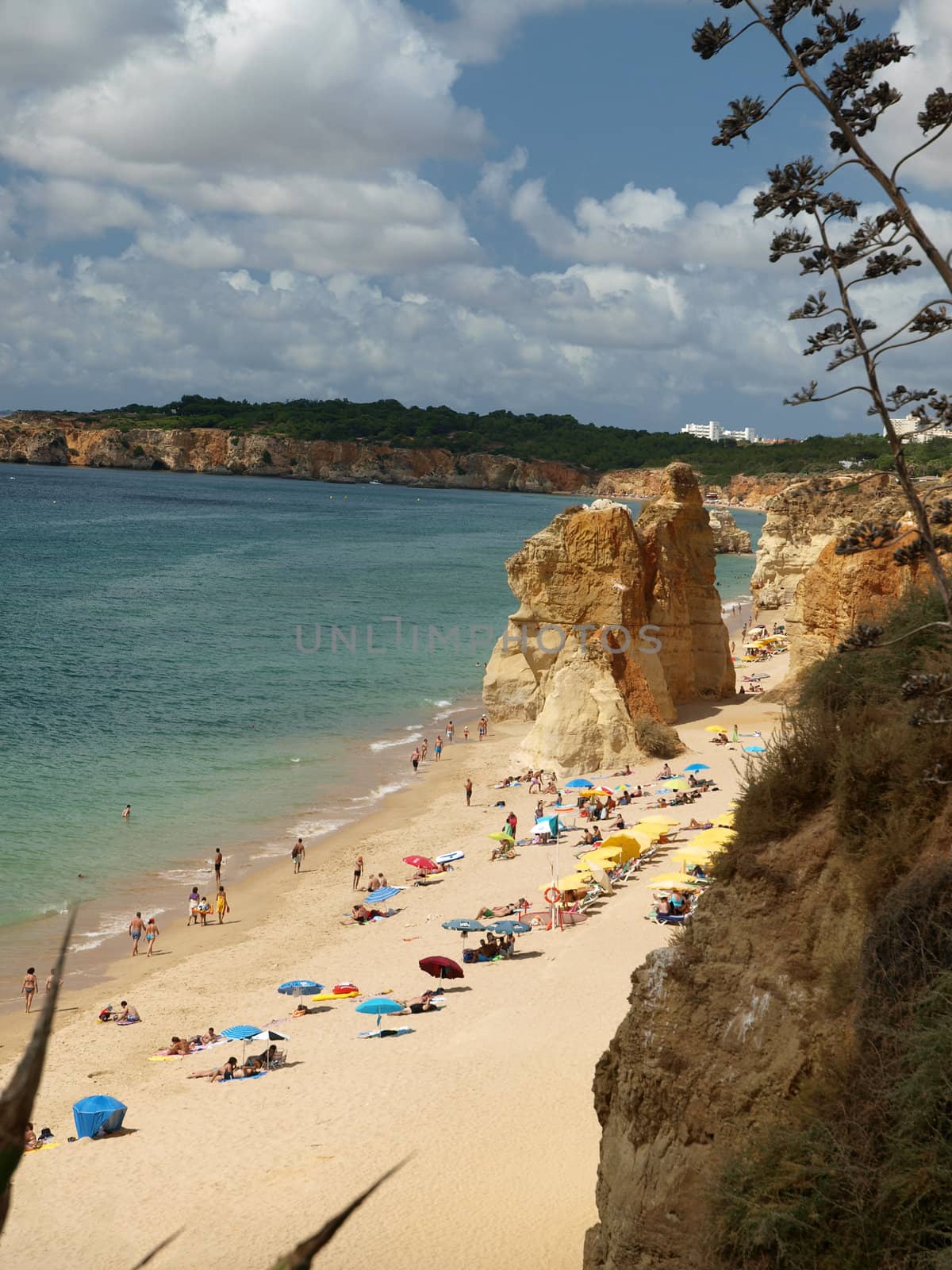 A section of the idyllic Praia de Rocha beach on the Algarve region. 