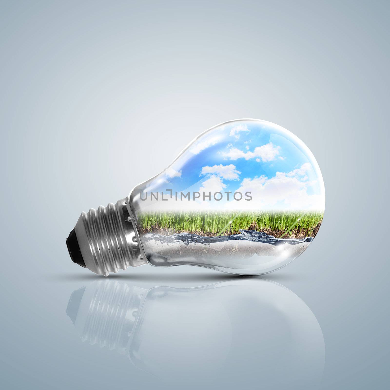 Lamp bulb with clean nature symbol inside by sergey_nivens