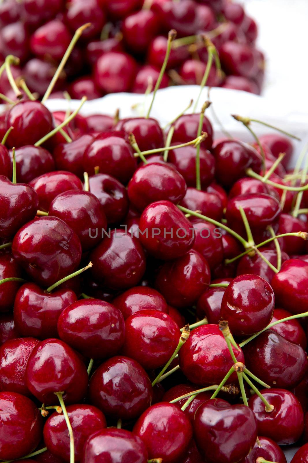 fresh cherries in food market by ponsulak