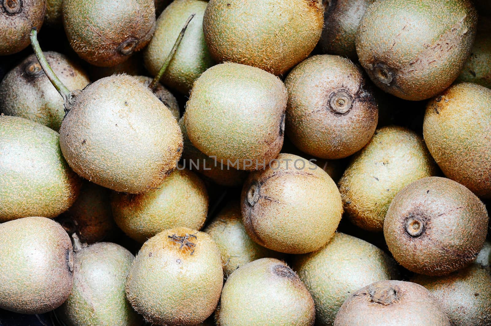 A pile of fresh wild kiwi fruits