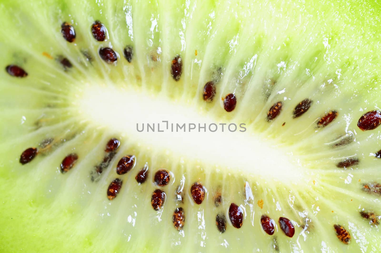 Closeup of kiwi fruit slices