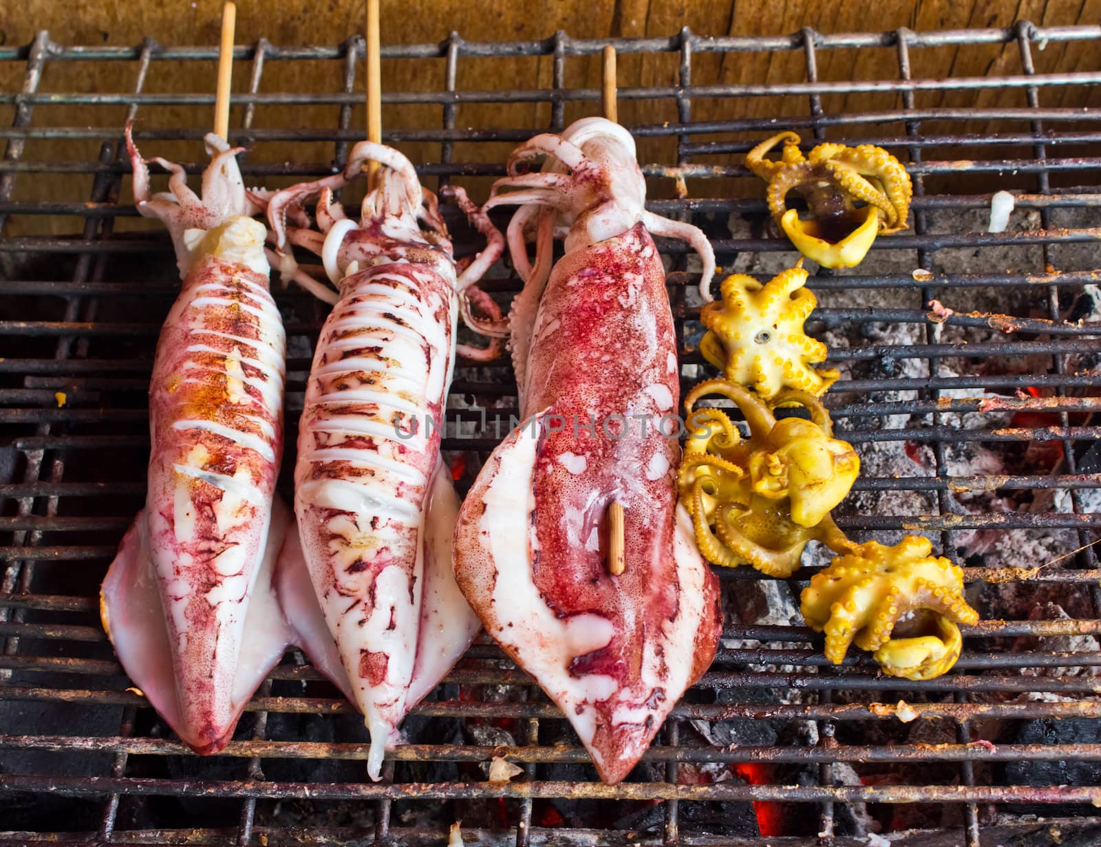 Many of grilled squid in thai market