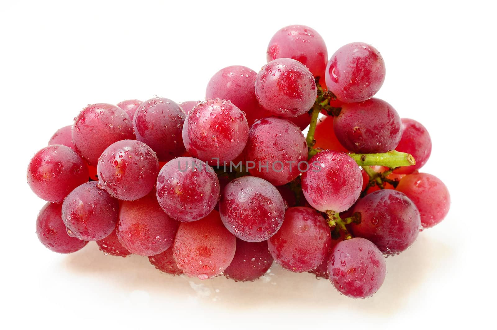Fresh purple grapes on a white background