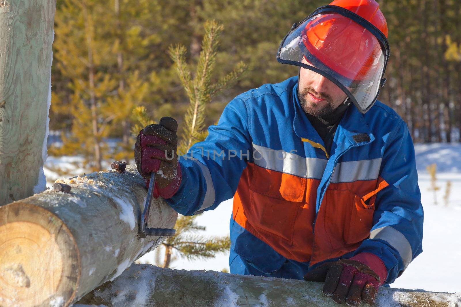 Worker in blue overalls mounts support the power lines on the background of the winter forest