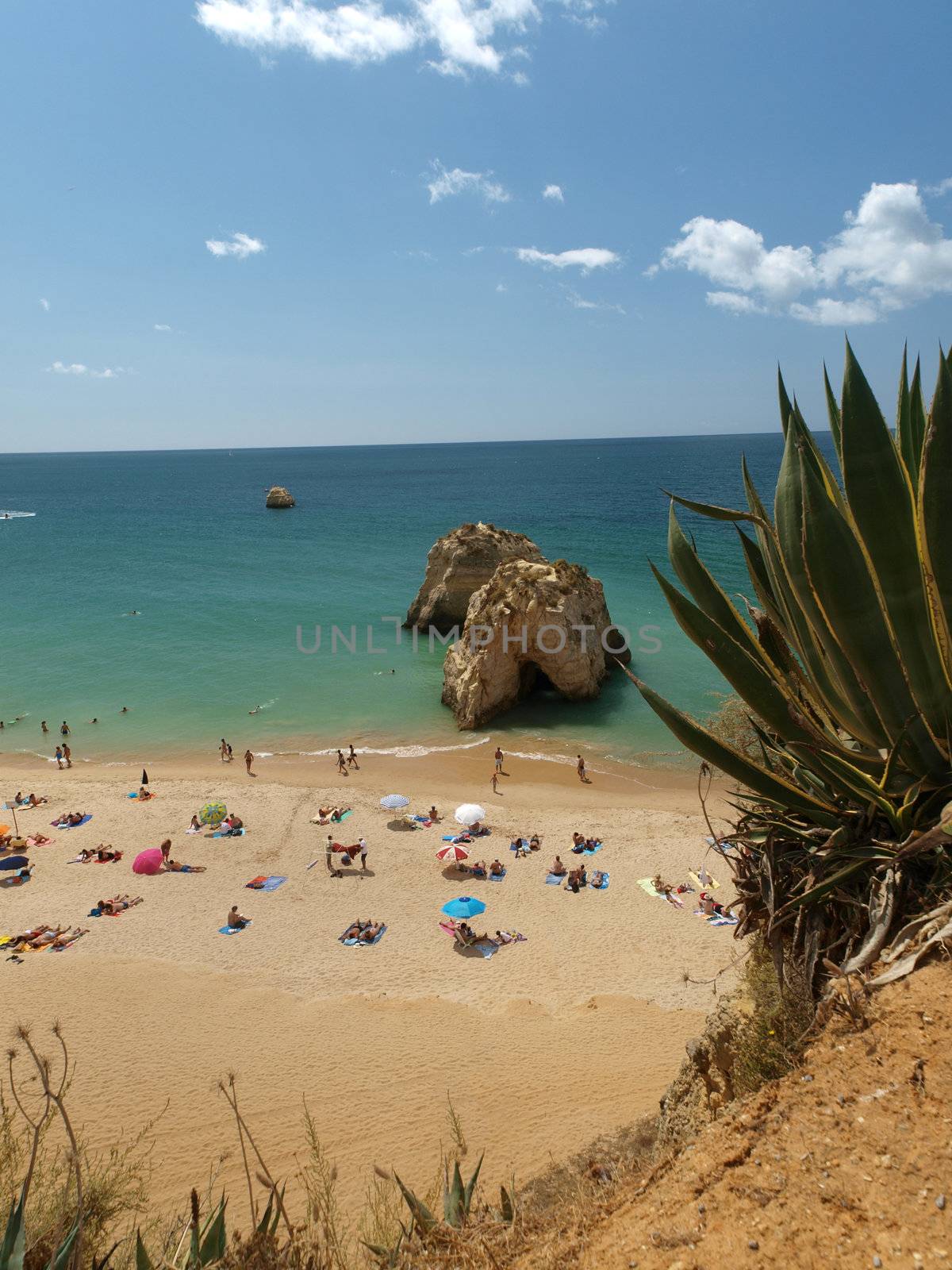 A section of the idyllic Praia de Rocha beach on the Algarve region. 