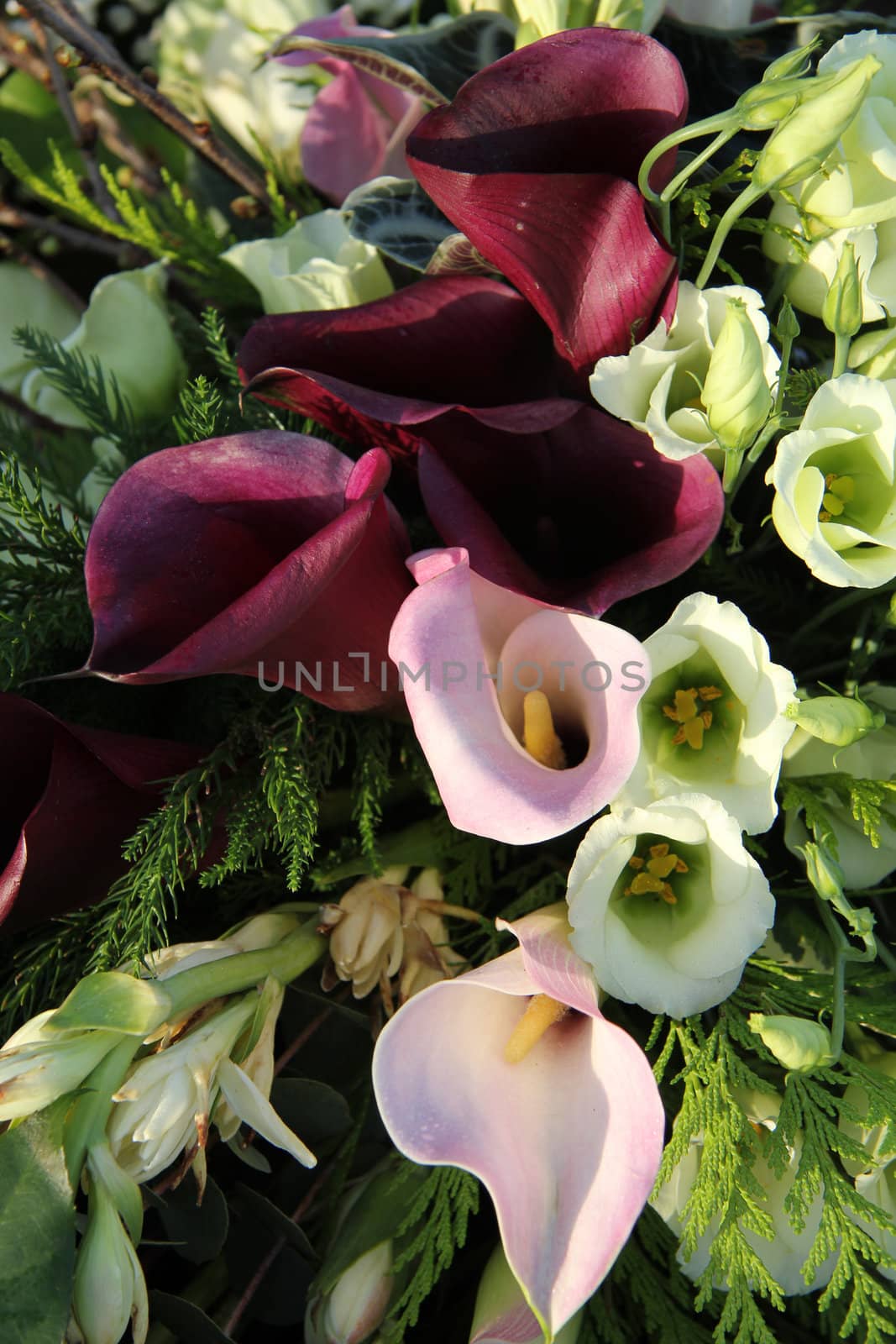 Calla Lillies in pink and purple in a wedding arrangement
