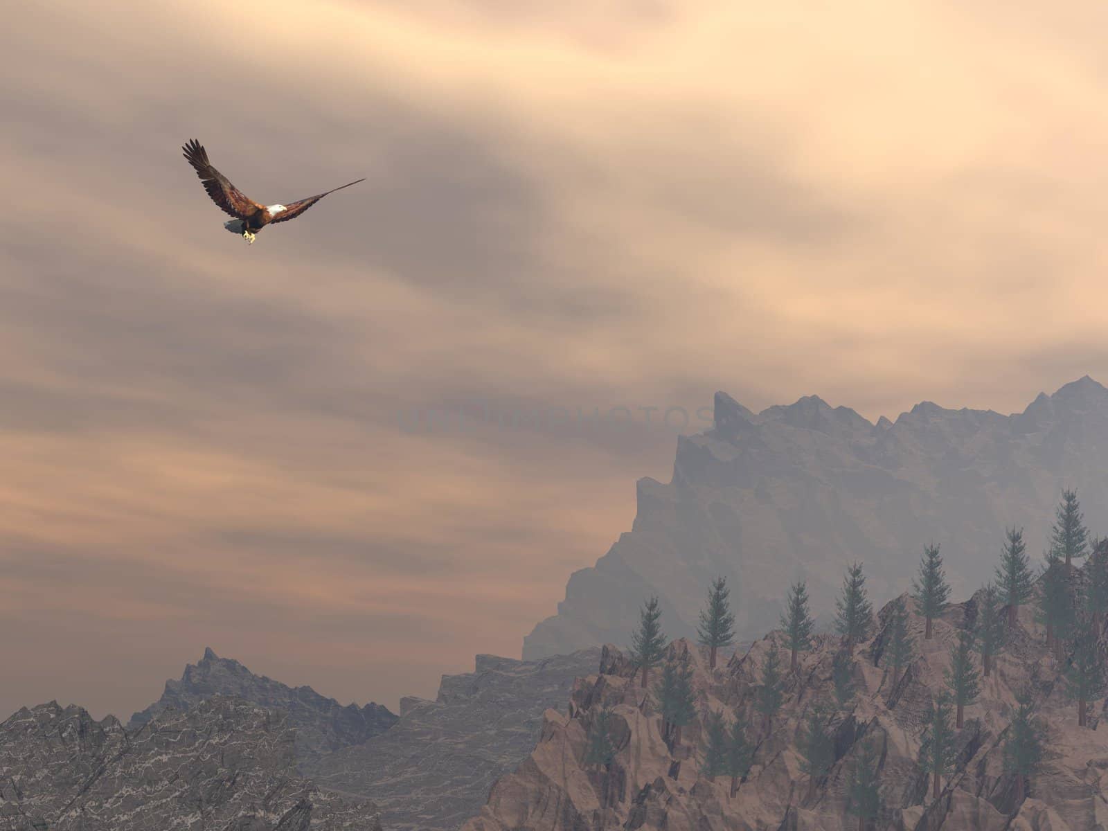 Eagle flying upon the moutain rocks and fir trees by cloudy day