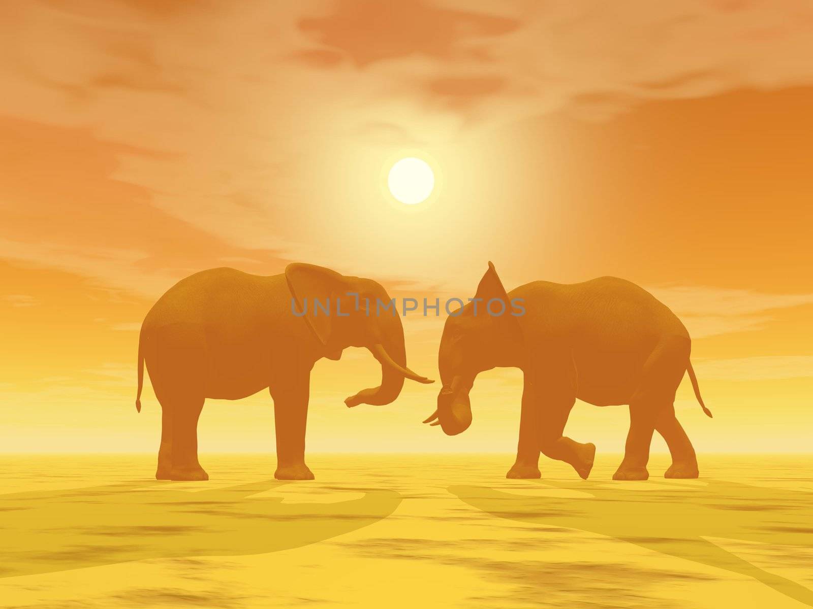 Two elephants face to face by hazy sunset in the desert
