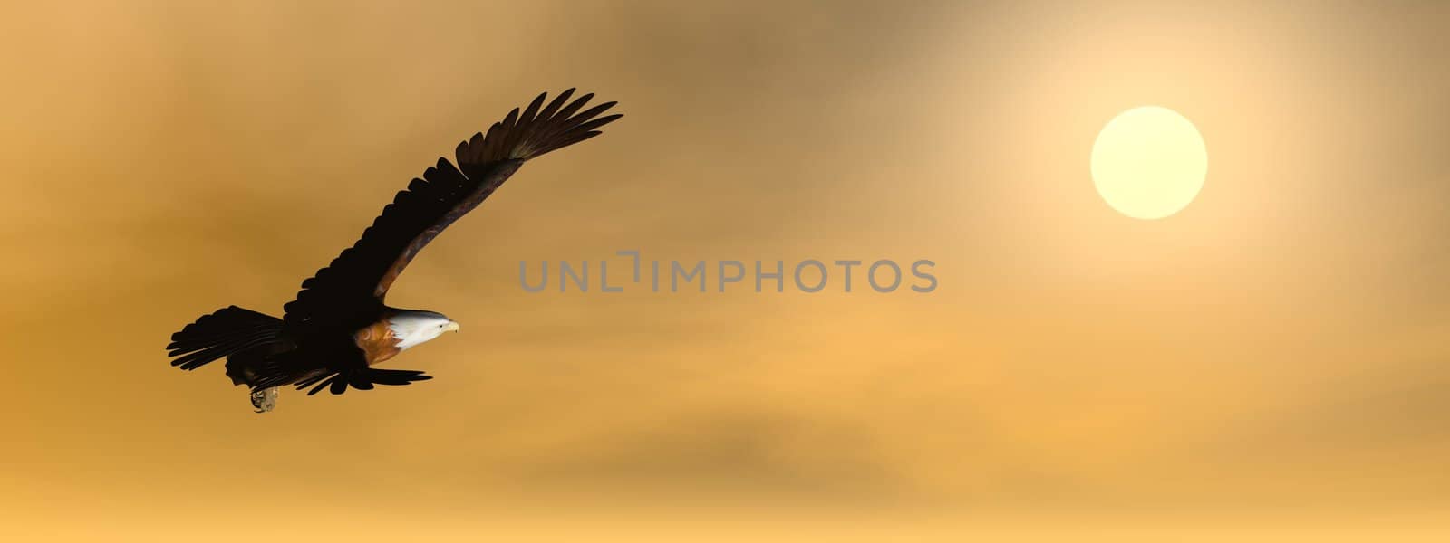 Eagle by sunset - 3D render by Elenaphotos21