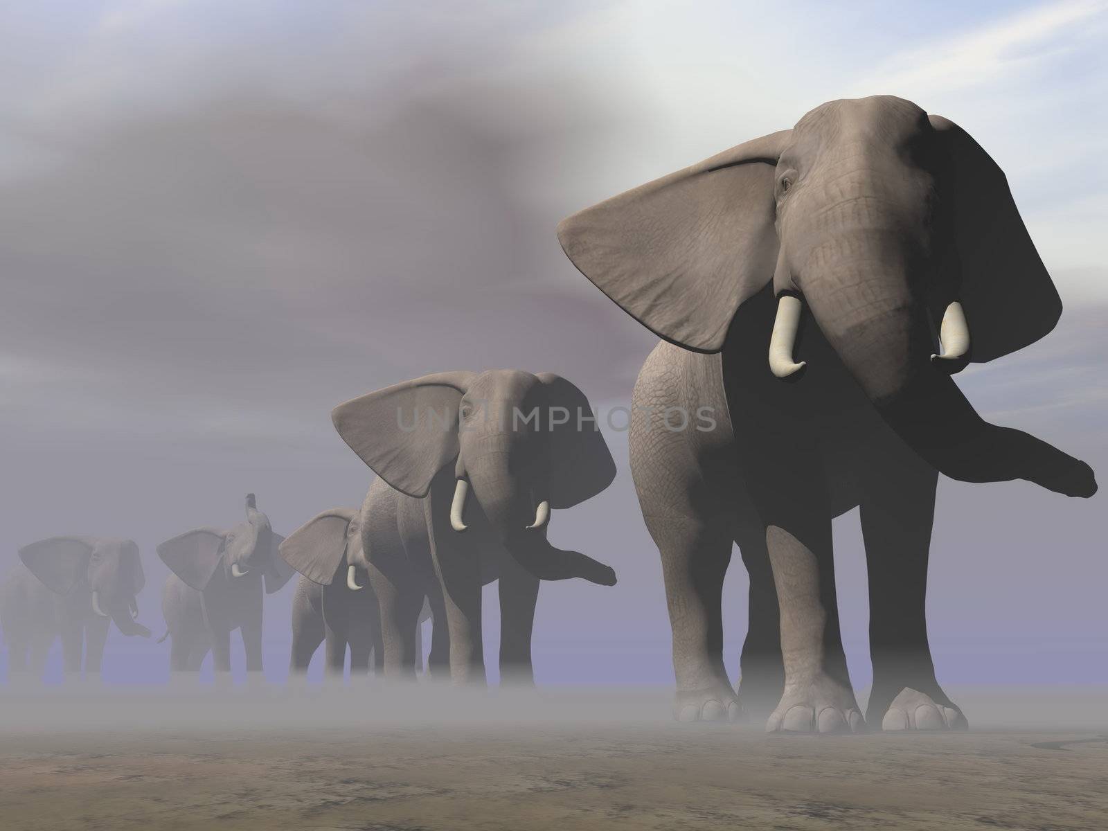 Many elephants walking in a row in the desert by grey hazy and cloudy day